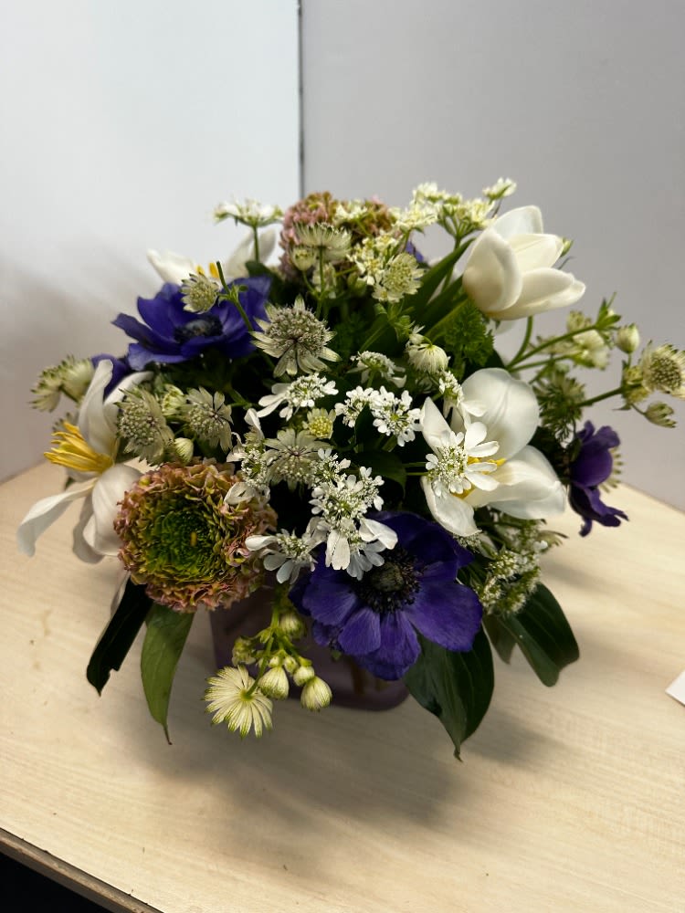 Designers Choice 75 By Art & Flowers