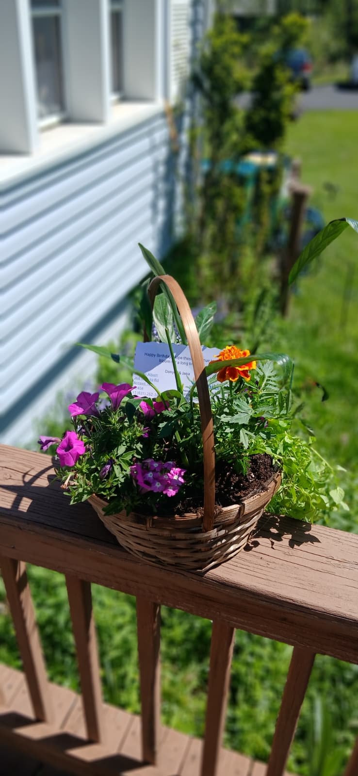 Color Harmony Garden