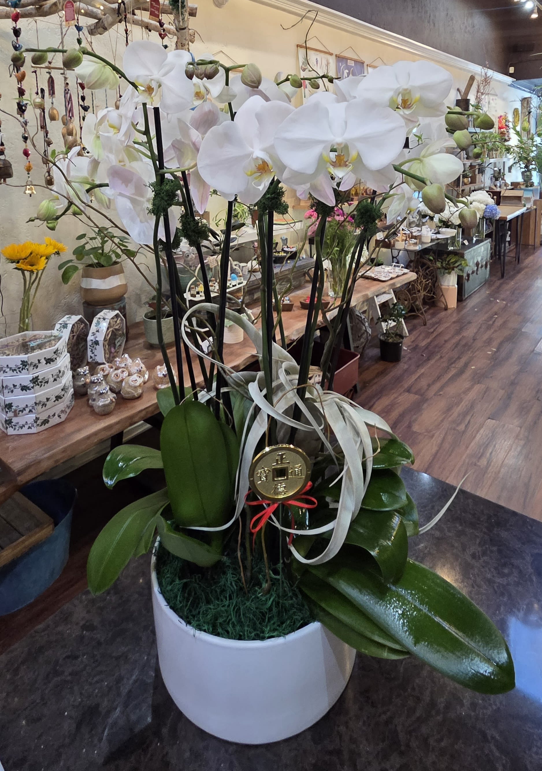 The perfect orchid arrangement 