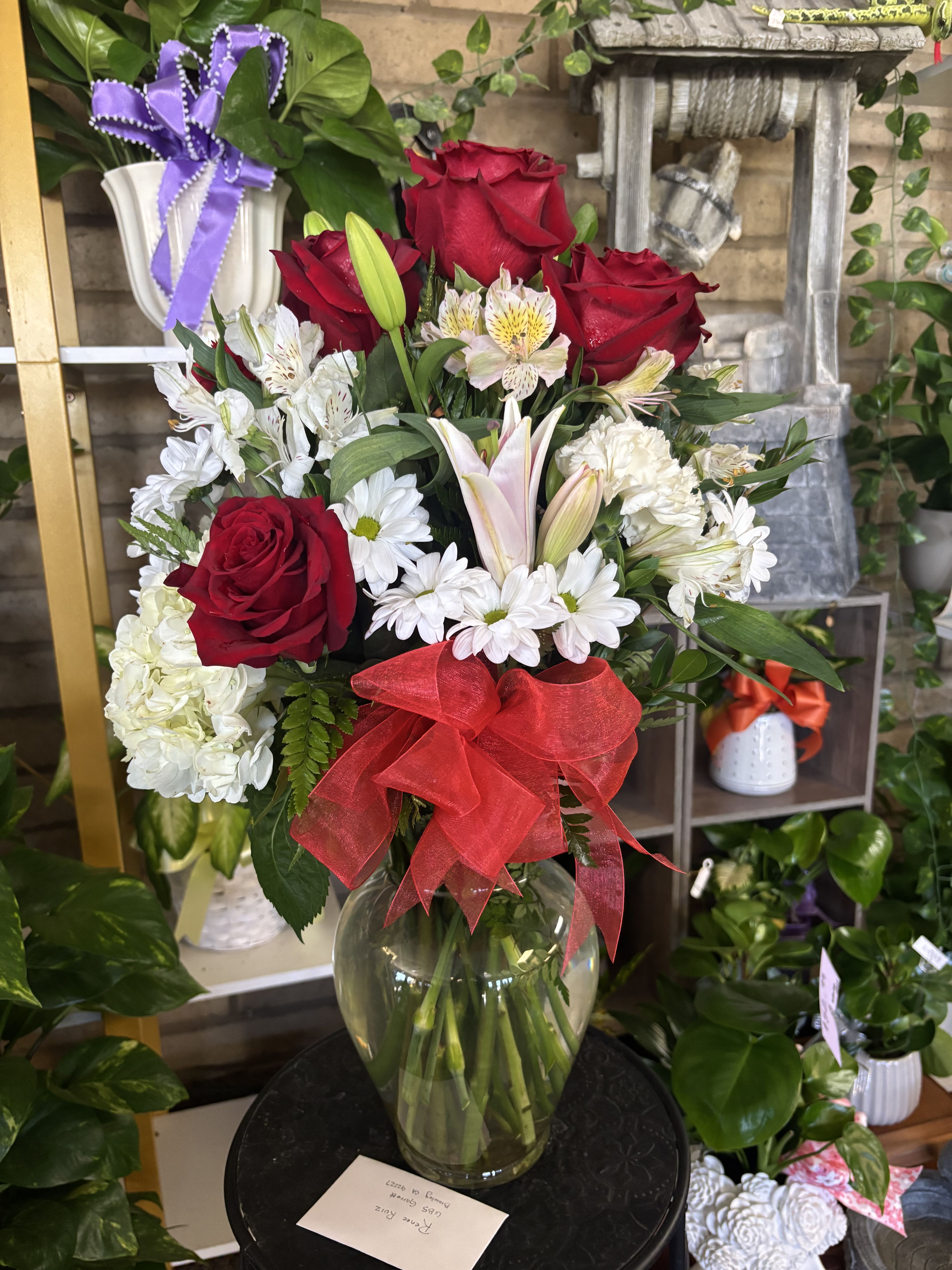 Stargazer/ROSES