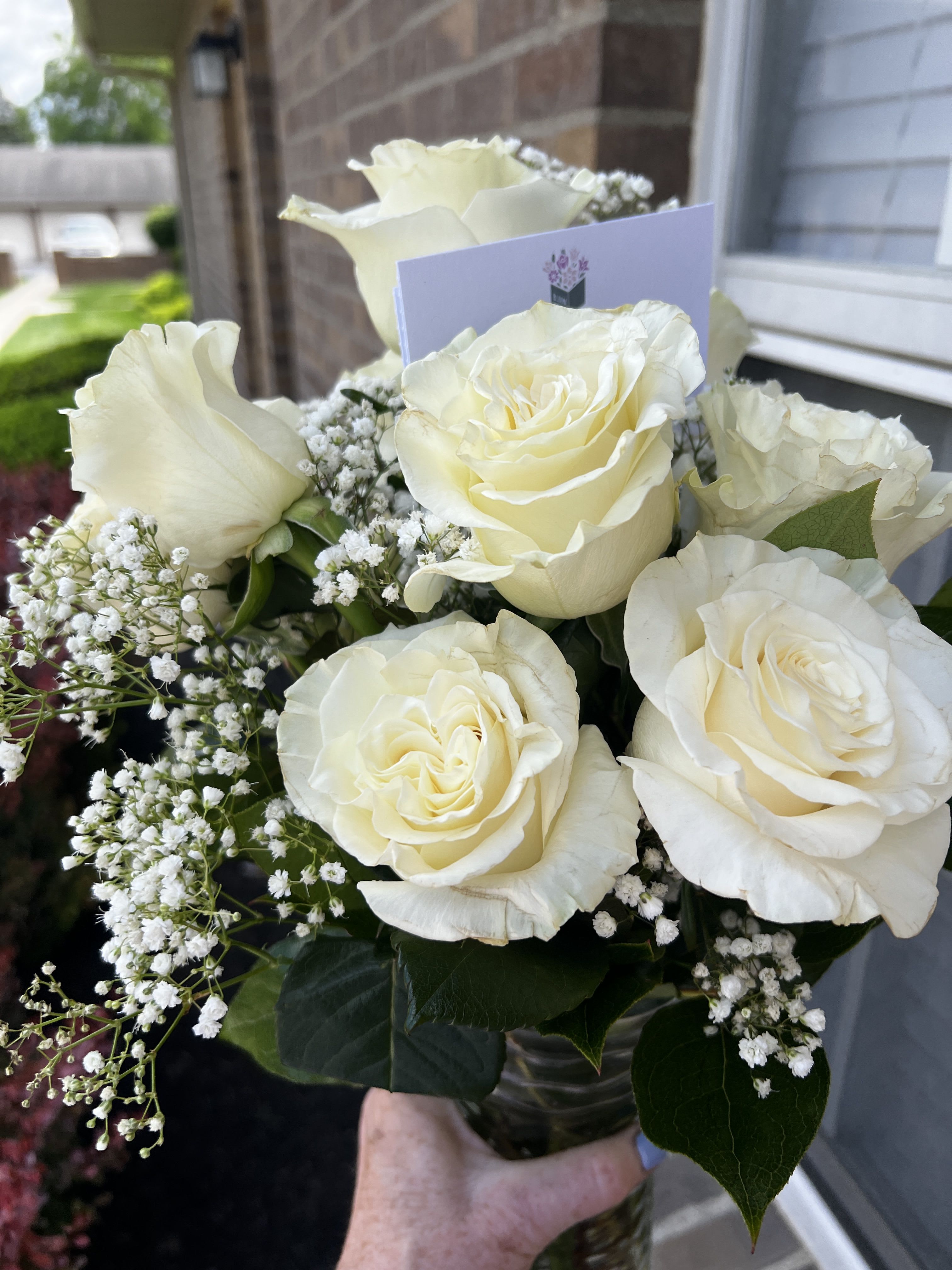 Dozen Long Stemmed White Roses by BloomNation™