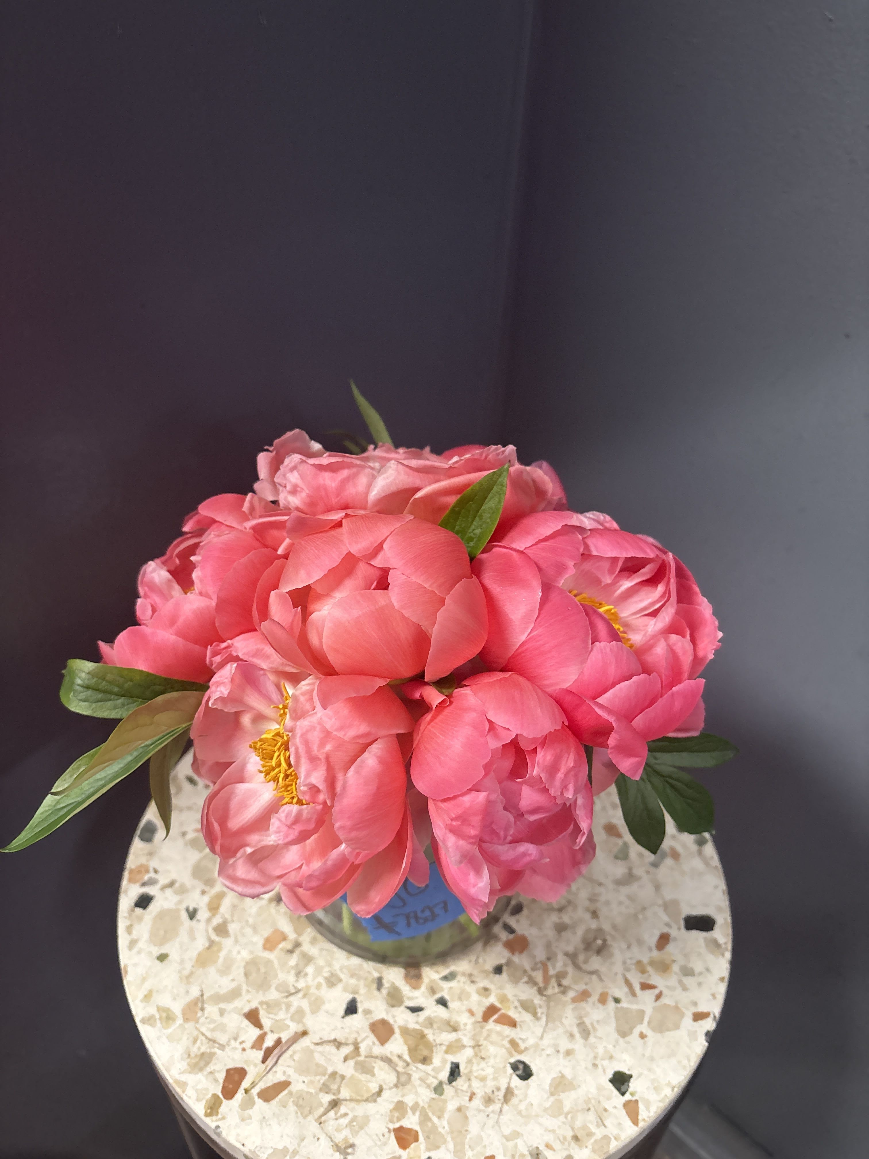 Peonies Jubilee