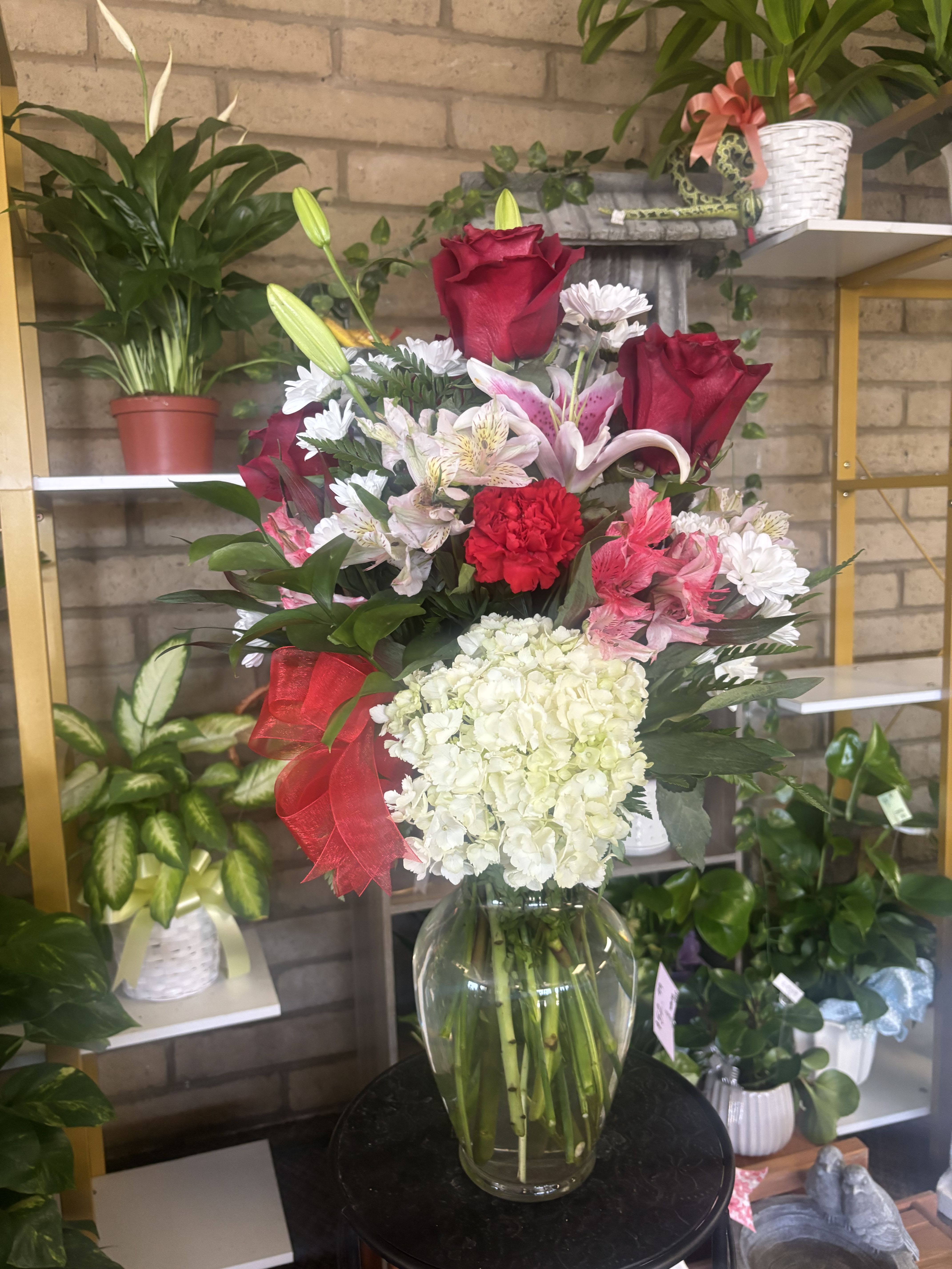 Stargazer/ROSES