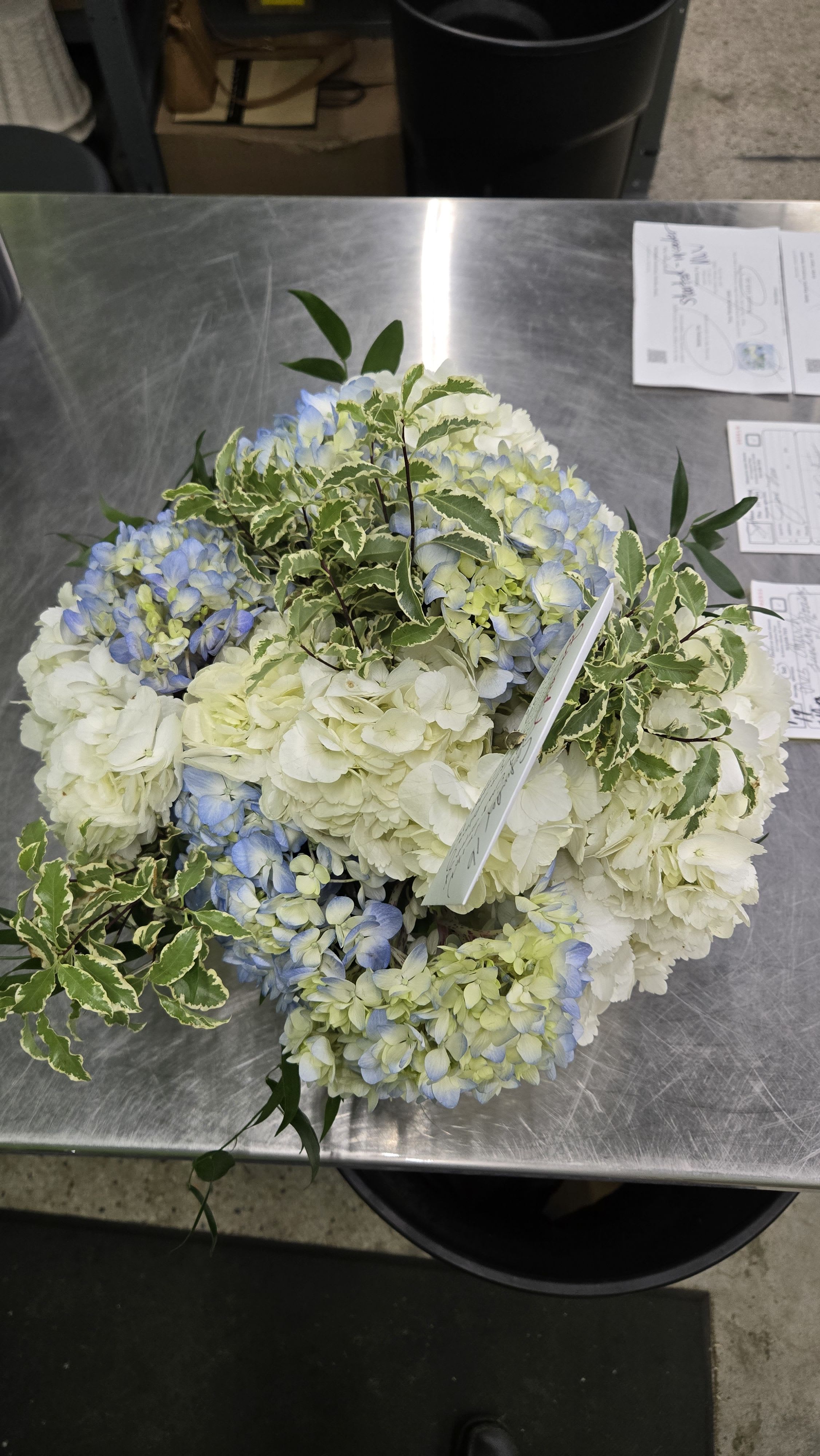 $165.00 White Cachepot w/Blue and White Hydrangeas & Italian Pitta Negra. CALL 912.638.7323 TO DISCUSS OPTIONS!