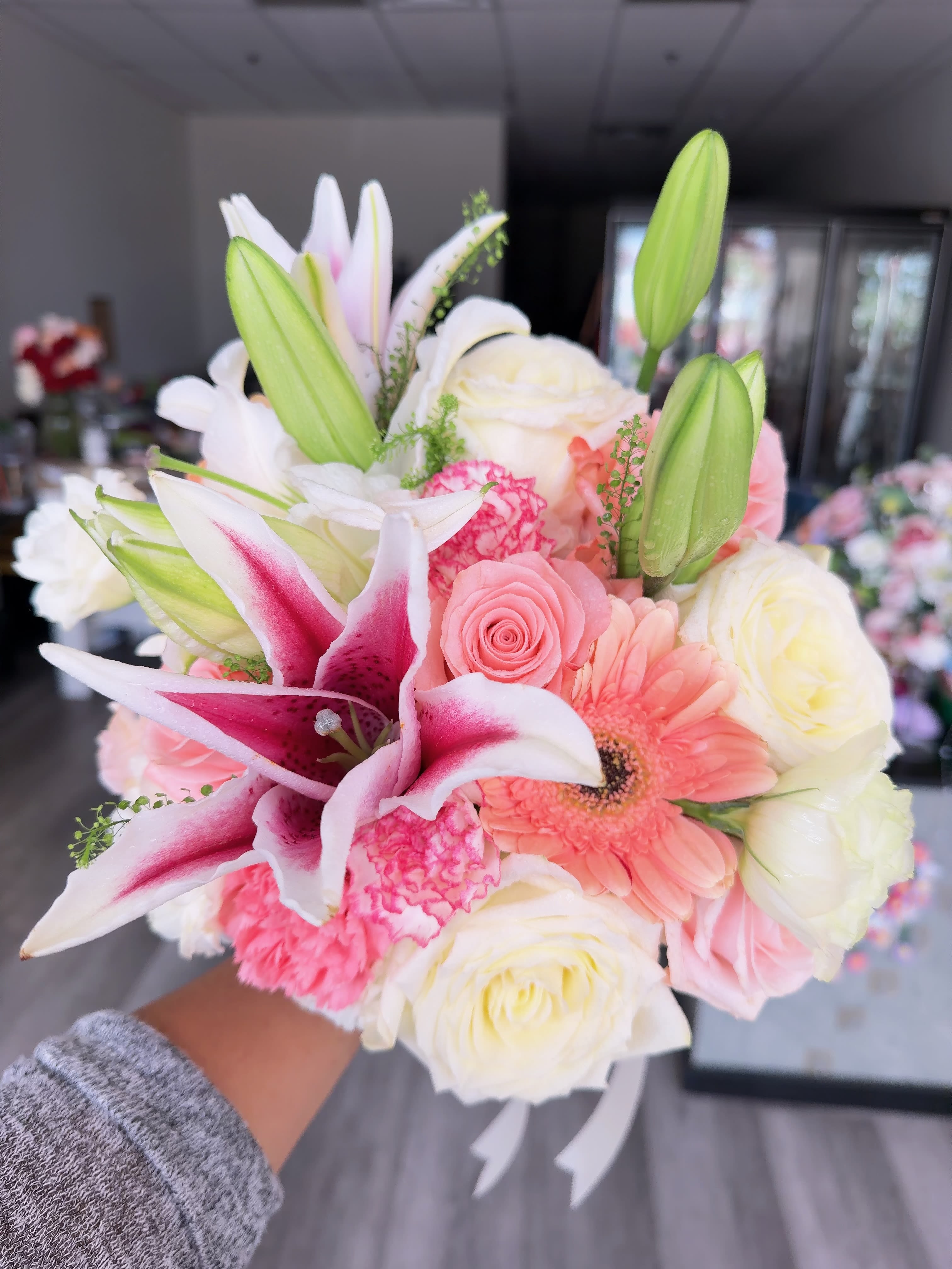 Lily dream 