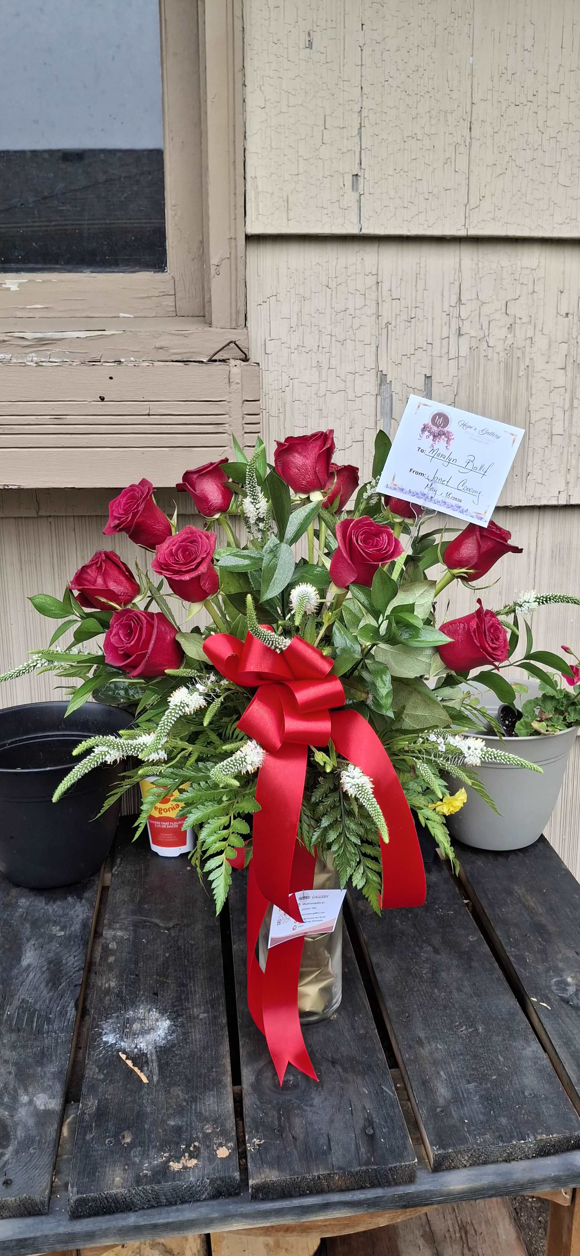 Dozen Long Stemmed Red Roses by BloomNation™