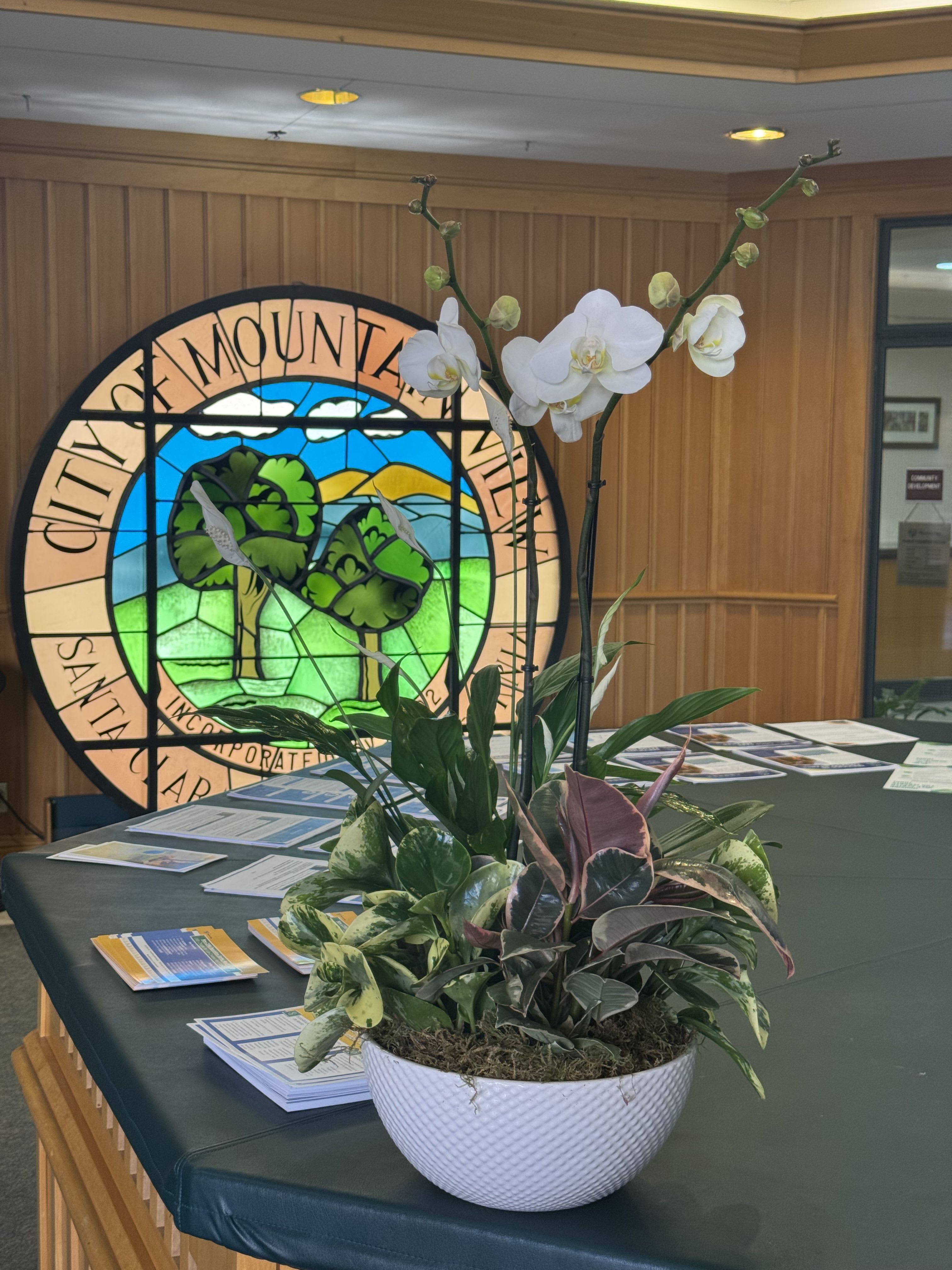 Divine Orchid Garden