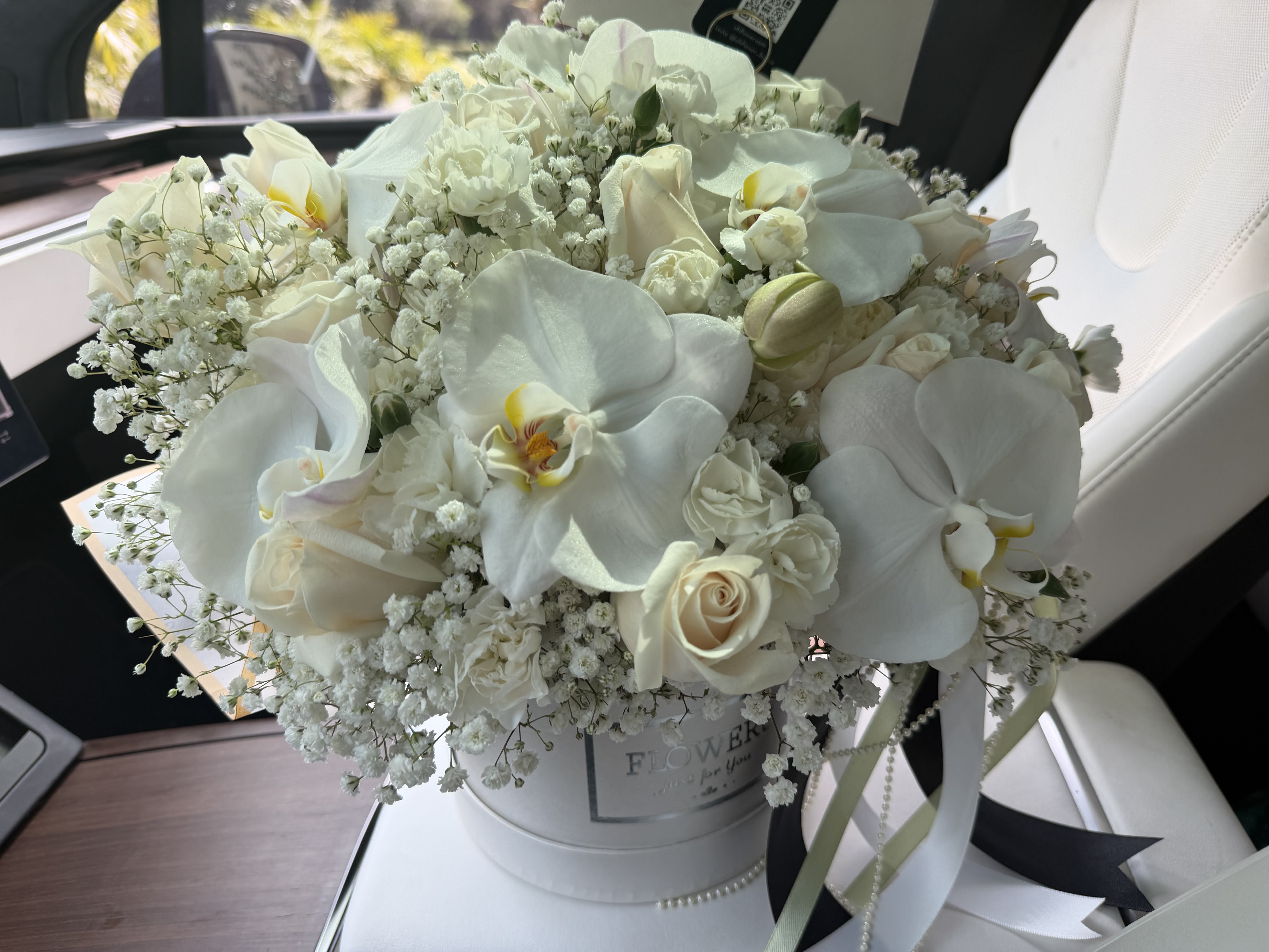 Pearl Orchid Grace