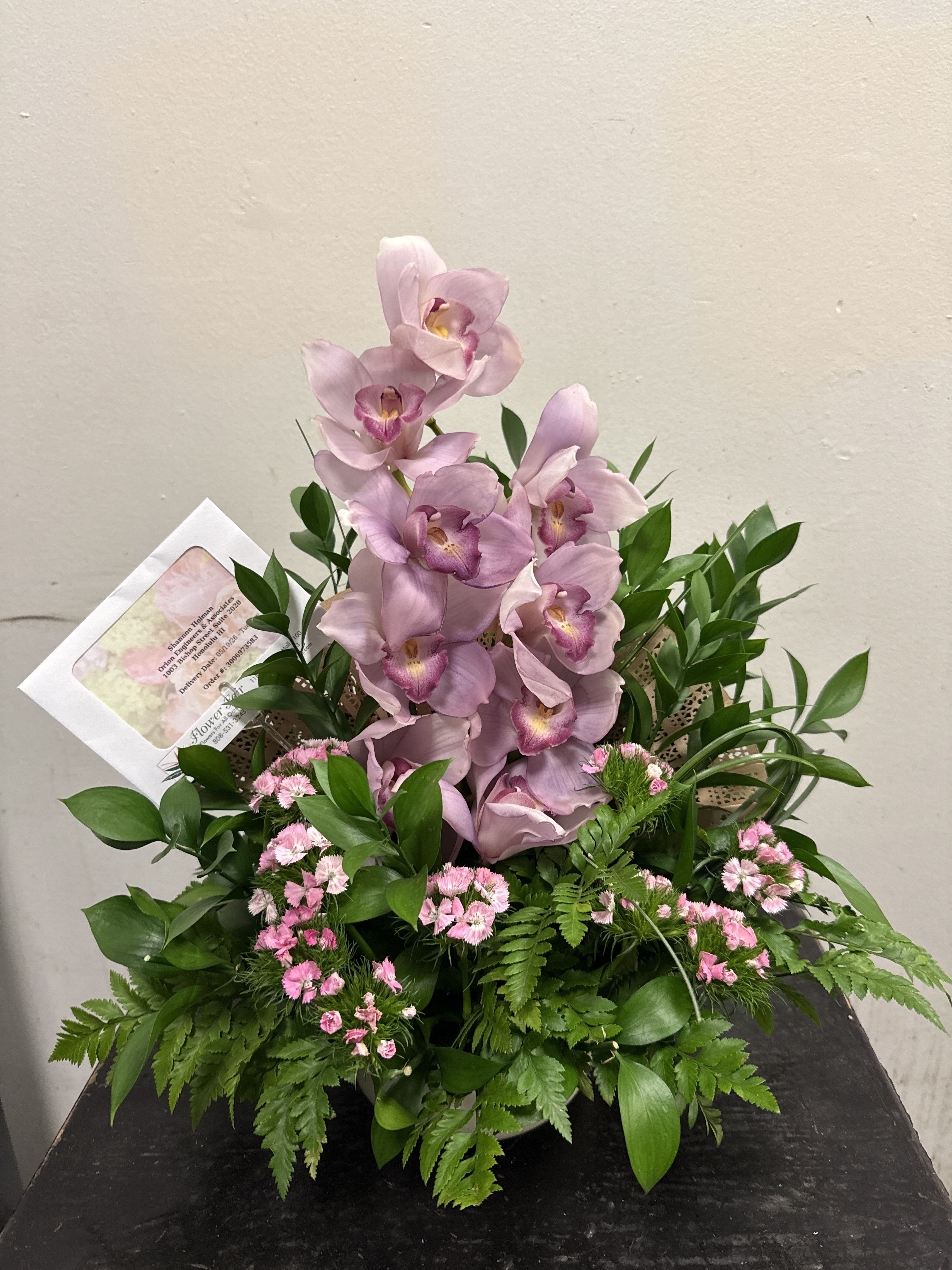 Pink Cymbidium 