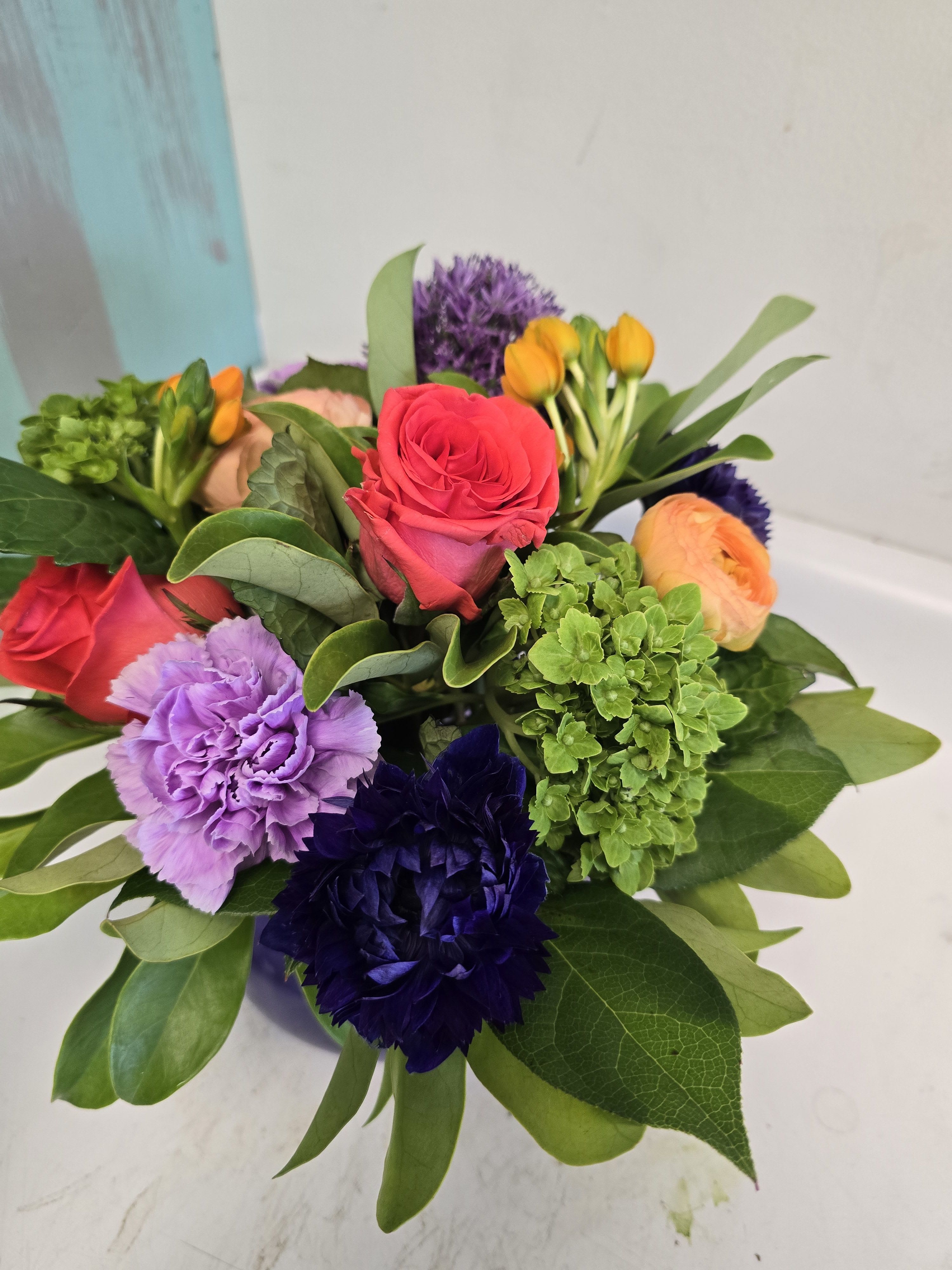 Vibrant Variety 
