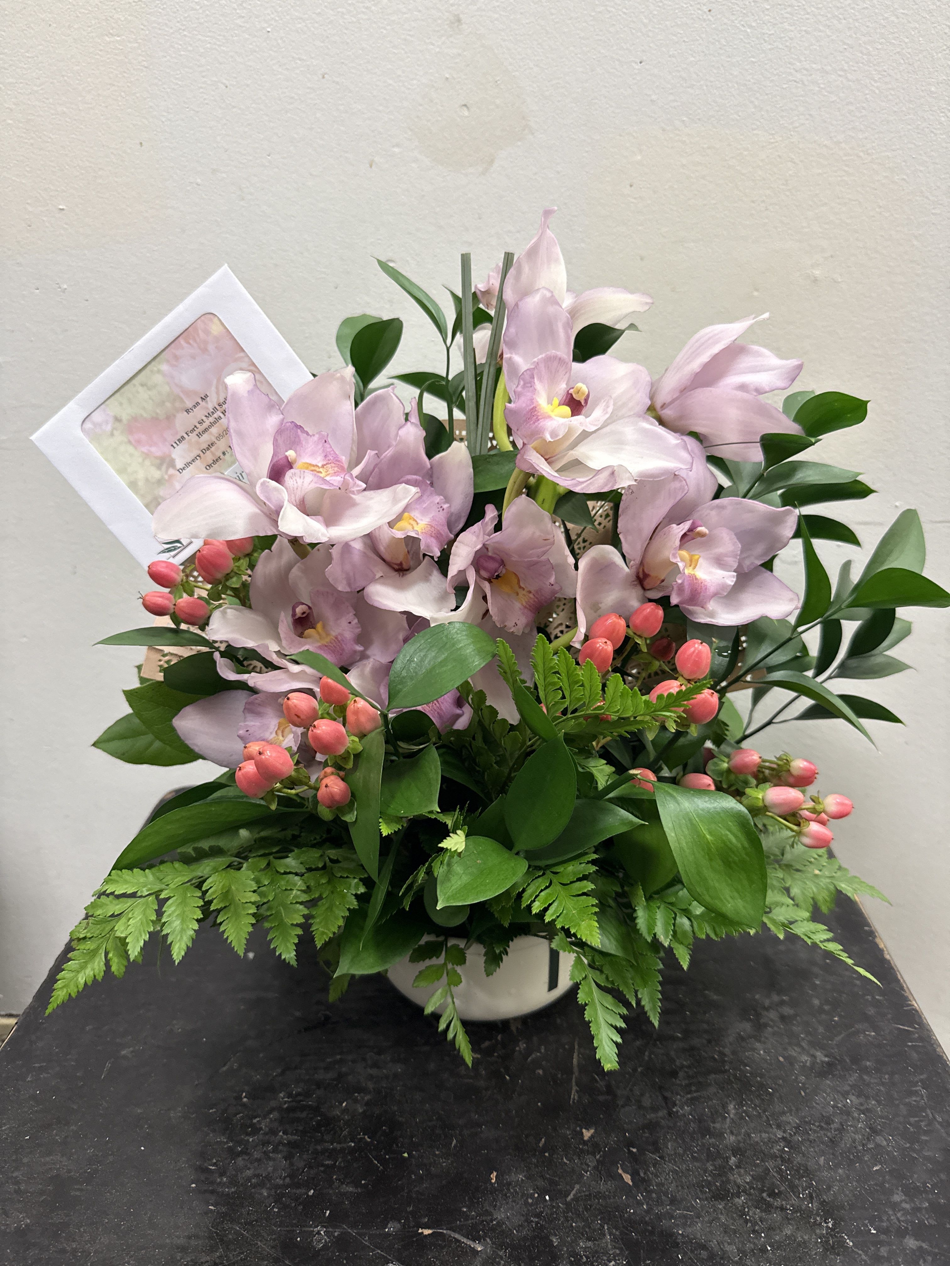 Pink Cymbidium 