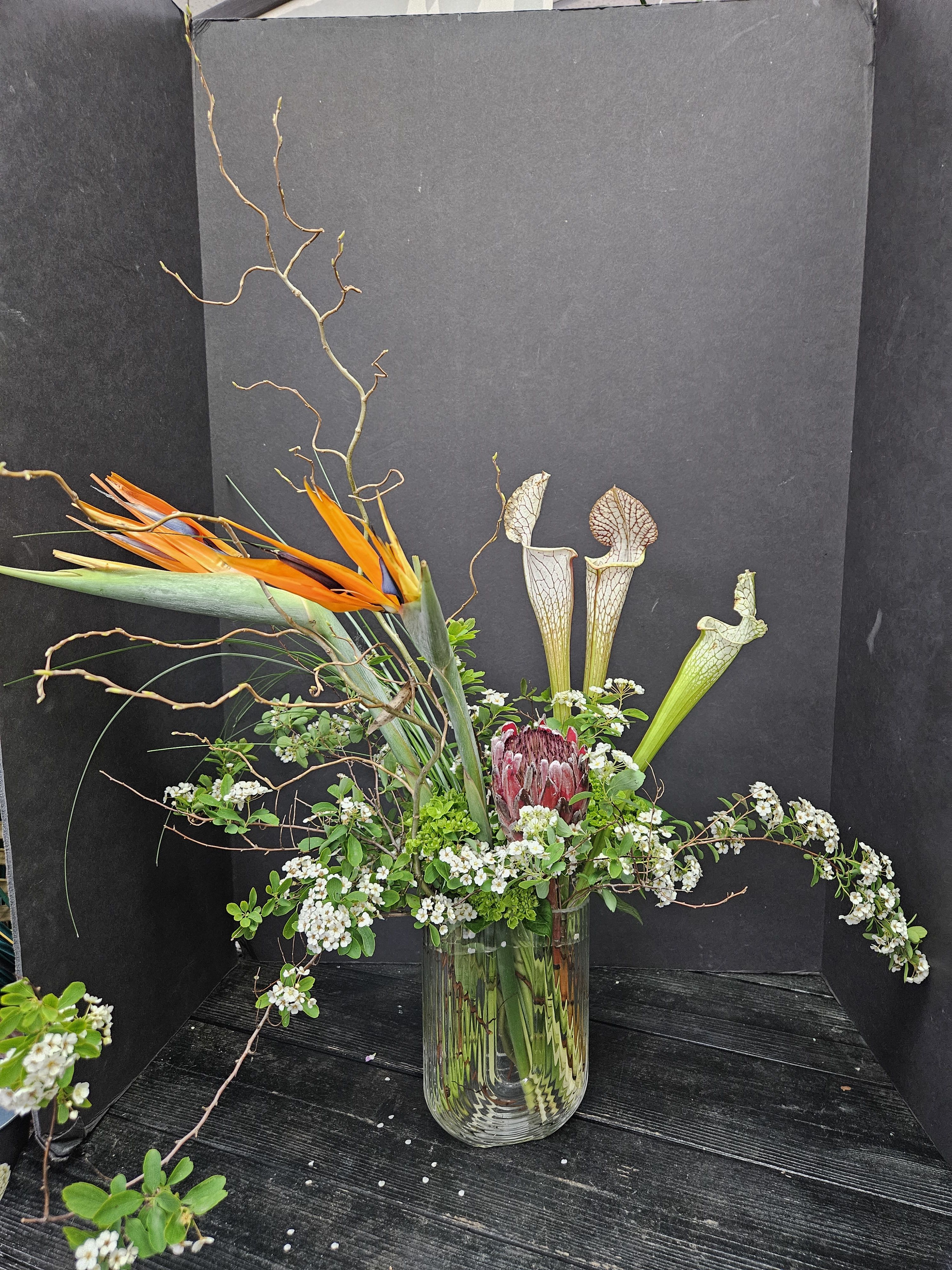 Spring Designer's