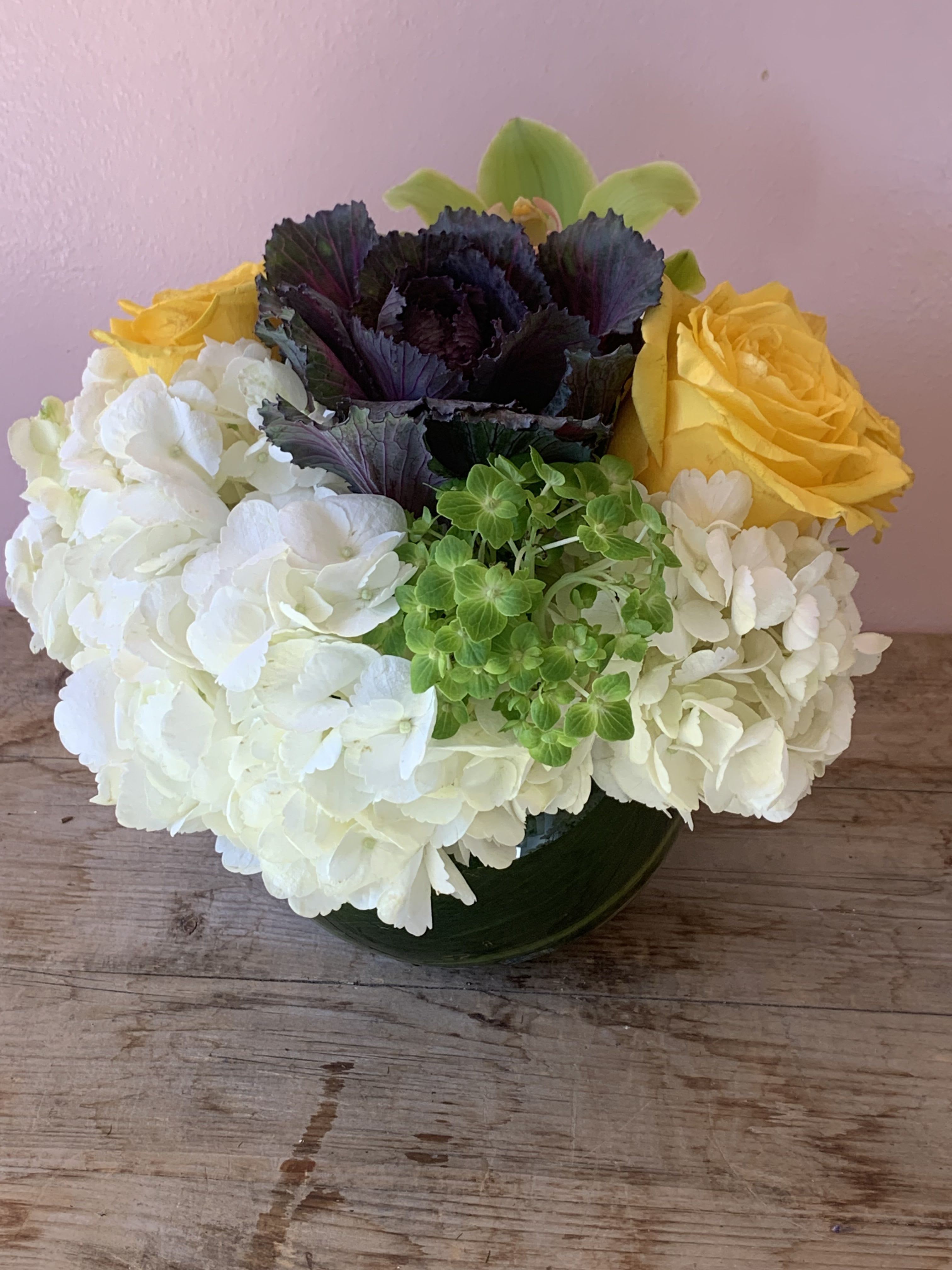 Elegant Hydrangea