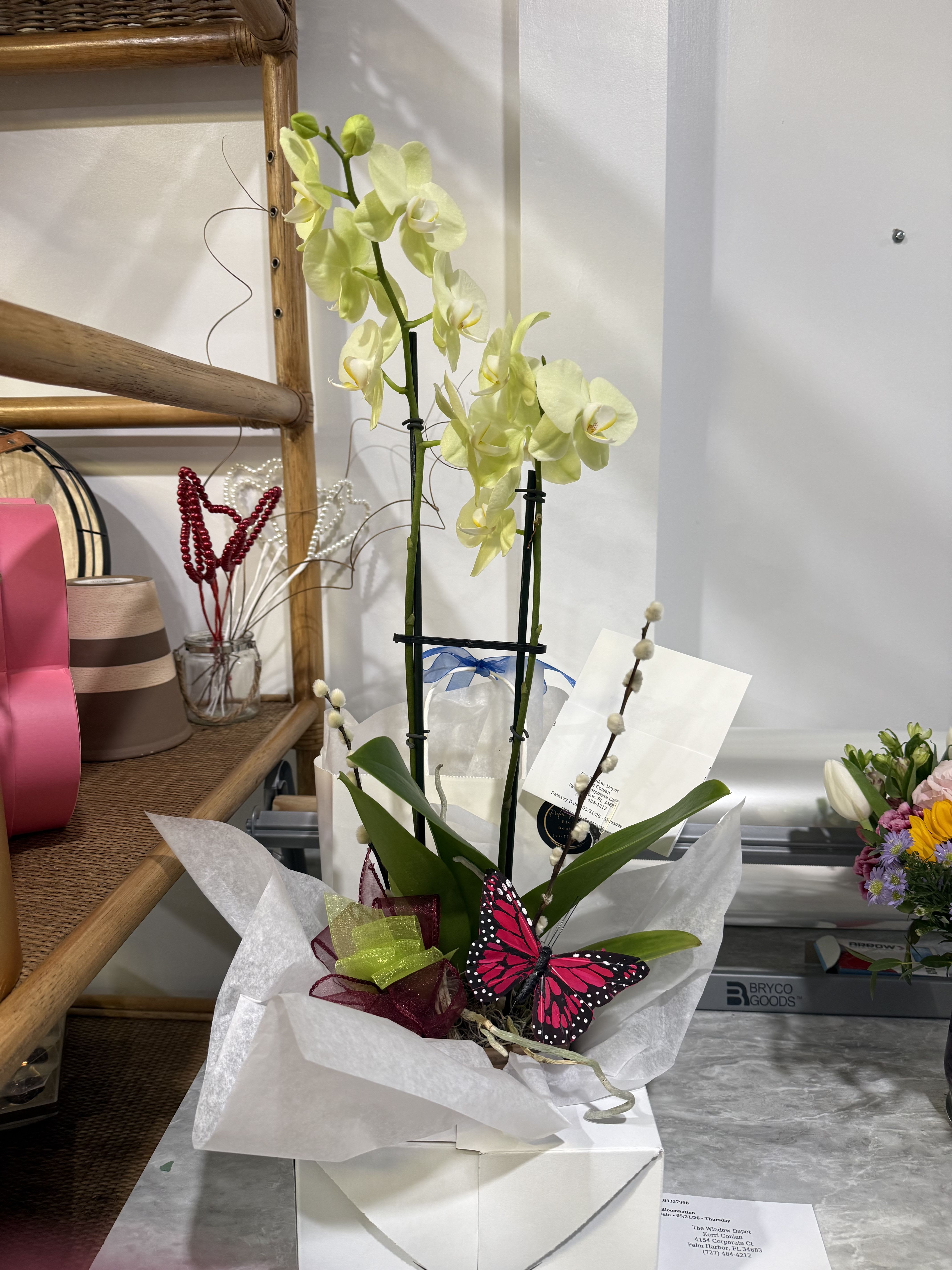 Signature Orchid Collection