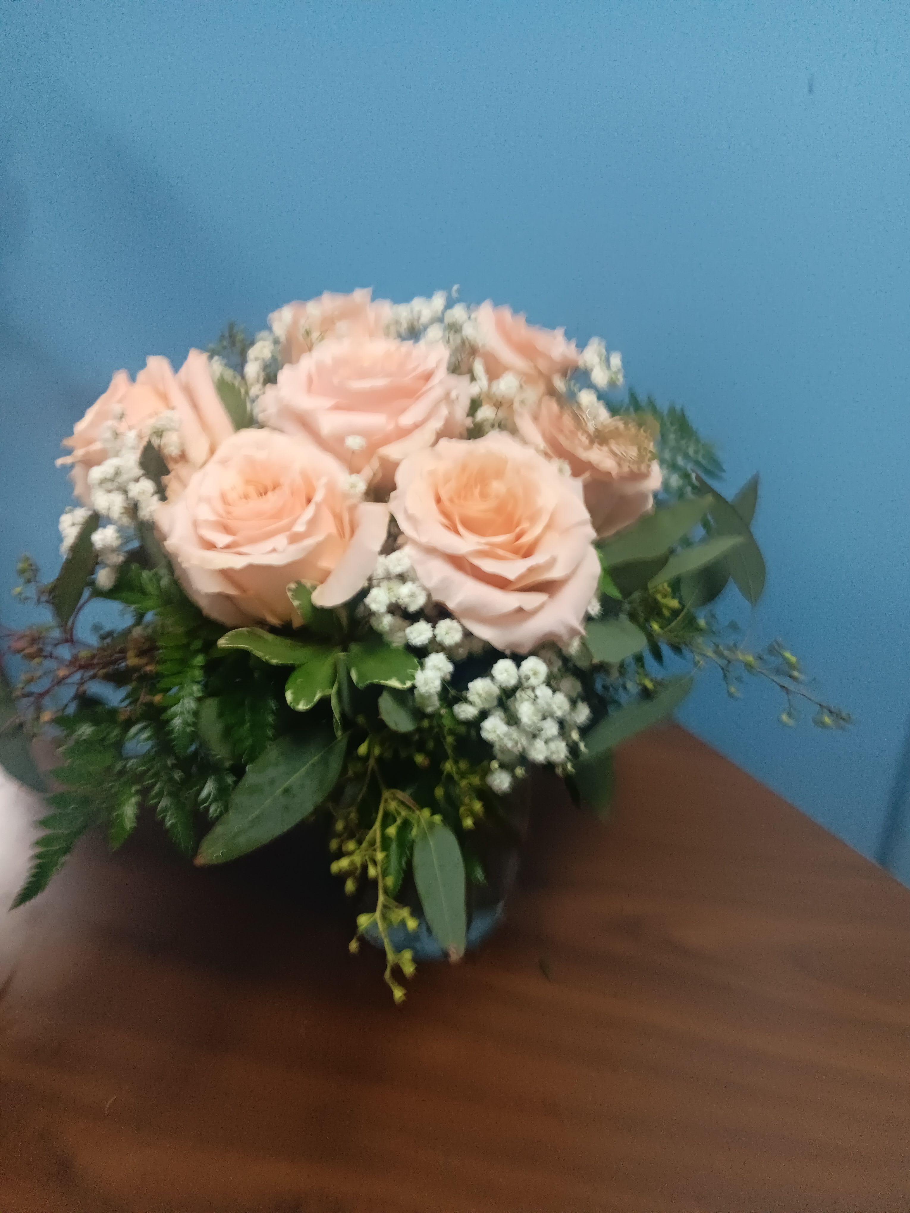 Daydreaming 1/2 Dz Pink Roses
