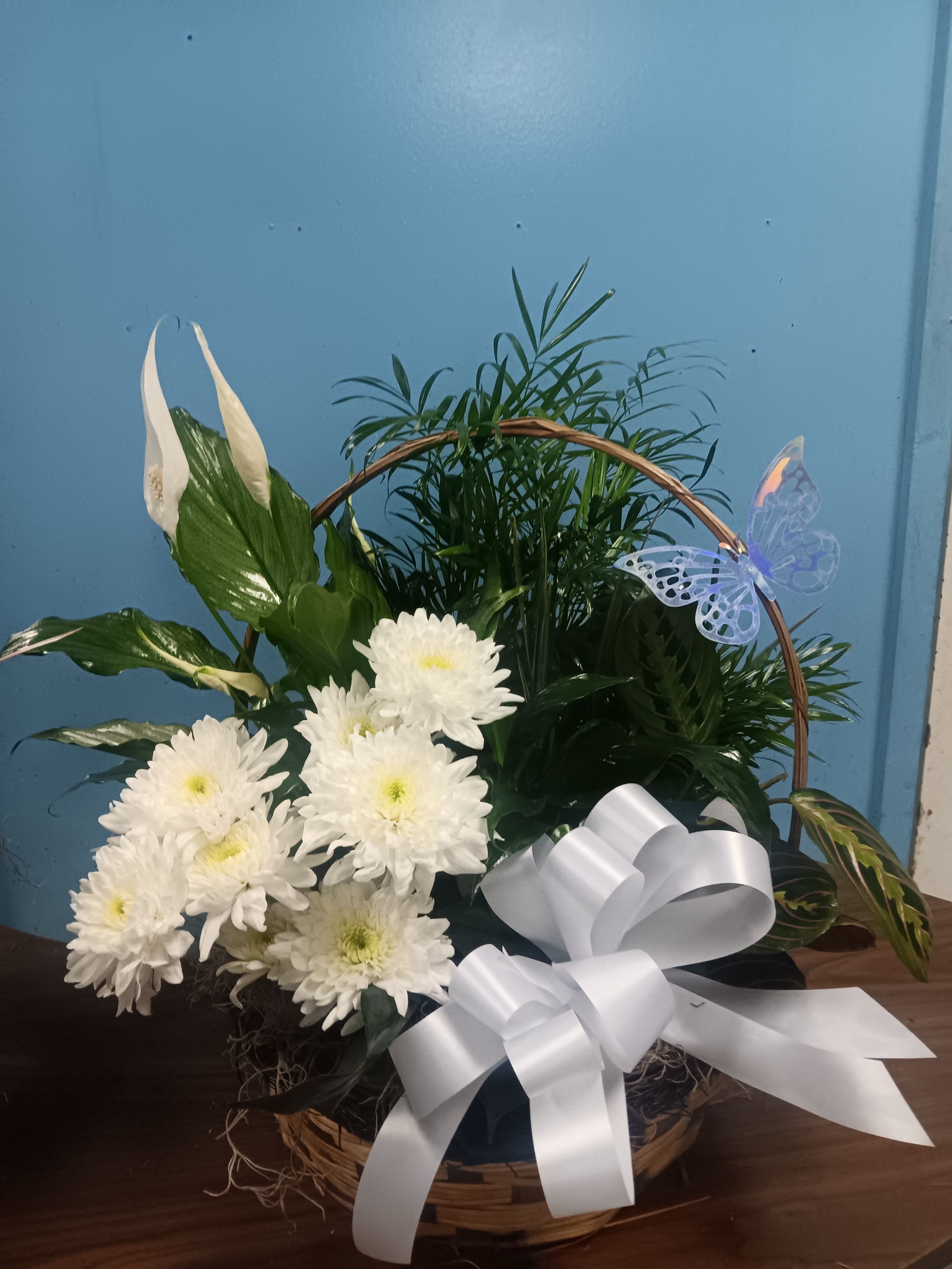 The FTD Peace & Serenity Dishgarden