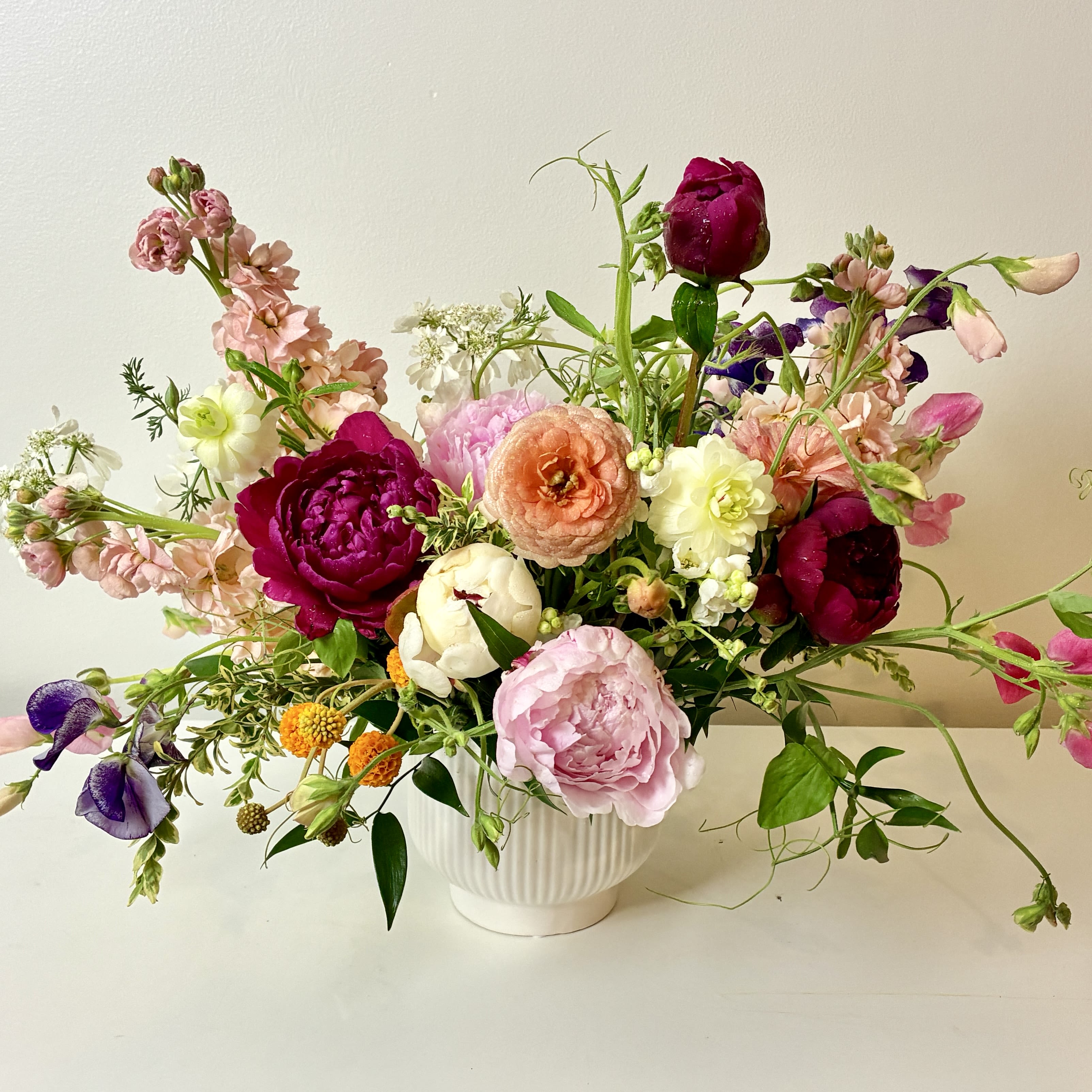 DESIGNER CHOICE    |    Springs Best