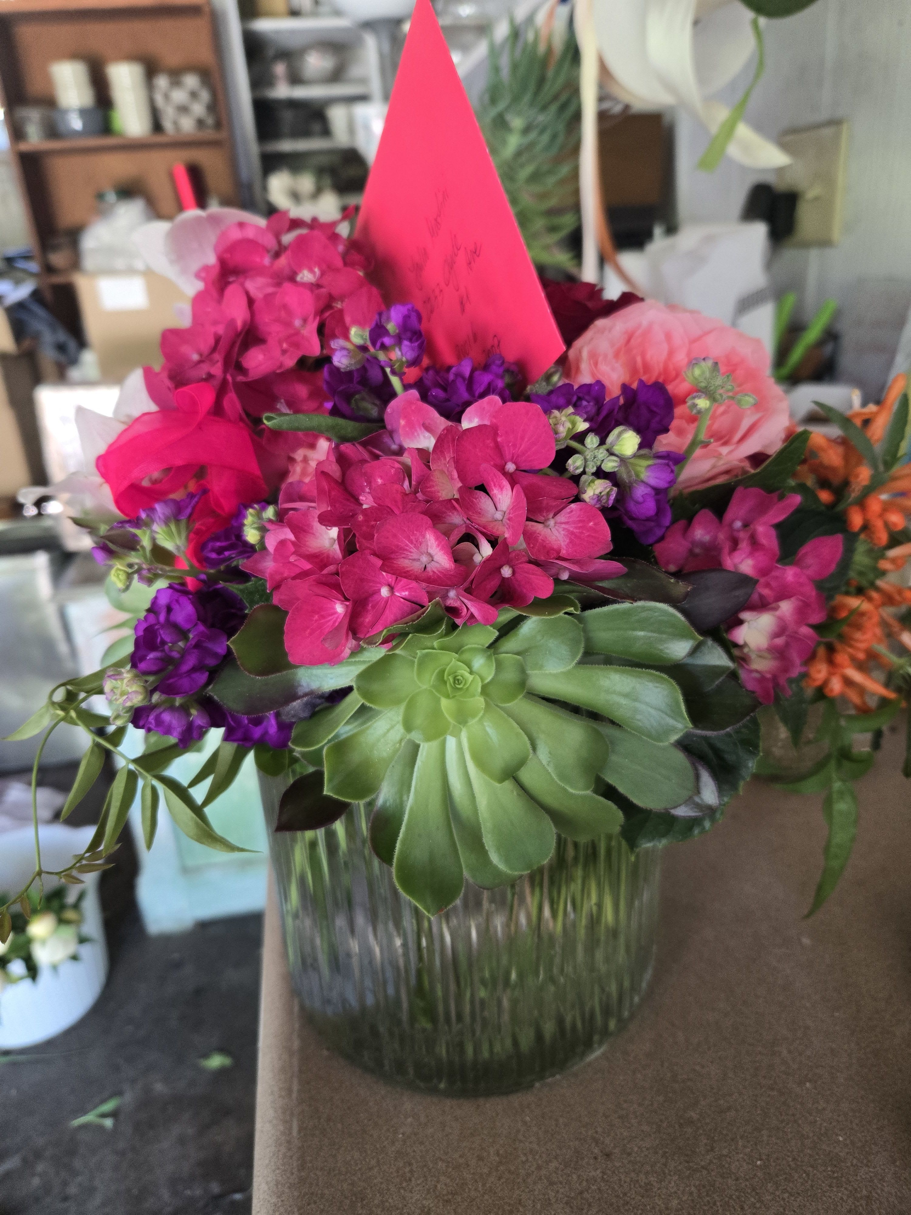 Pretty Pinks - ABR