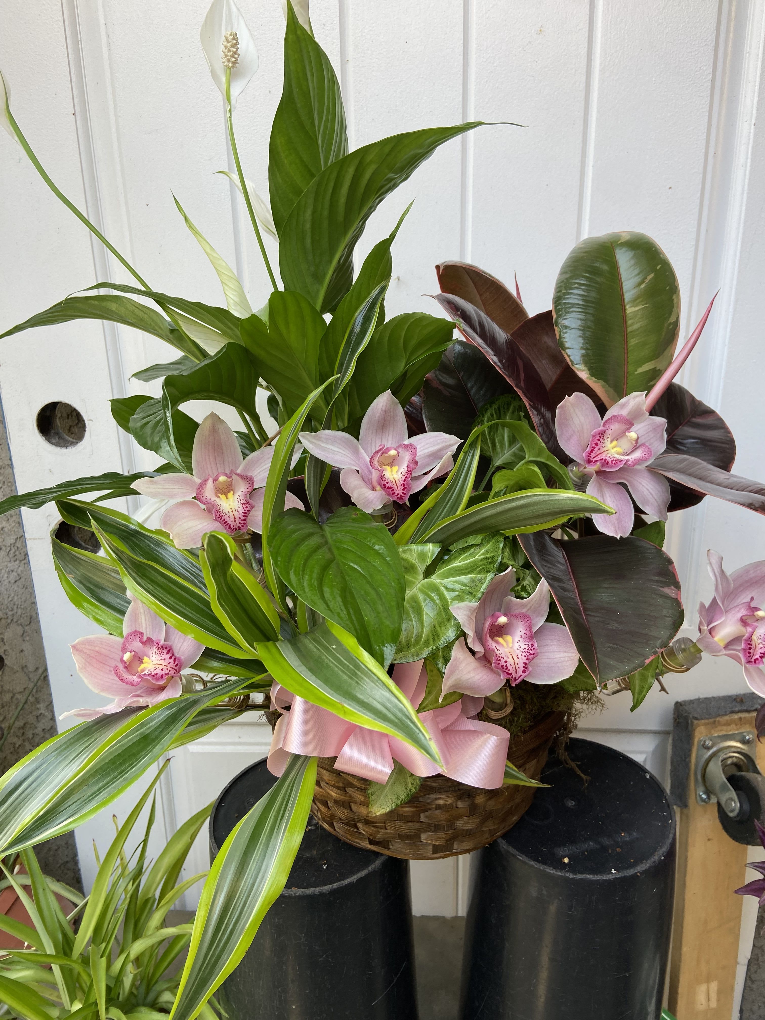 Growing Affection Planter