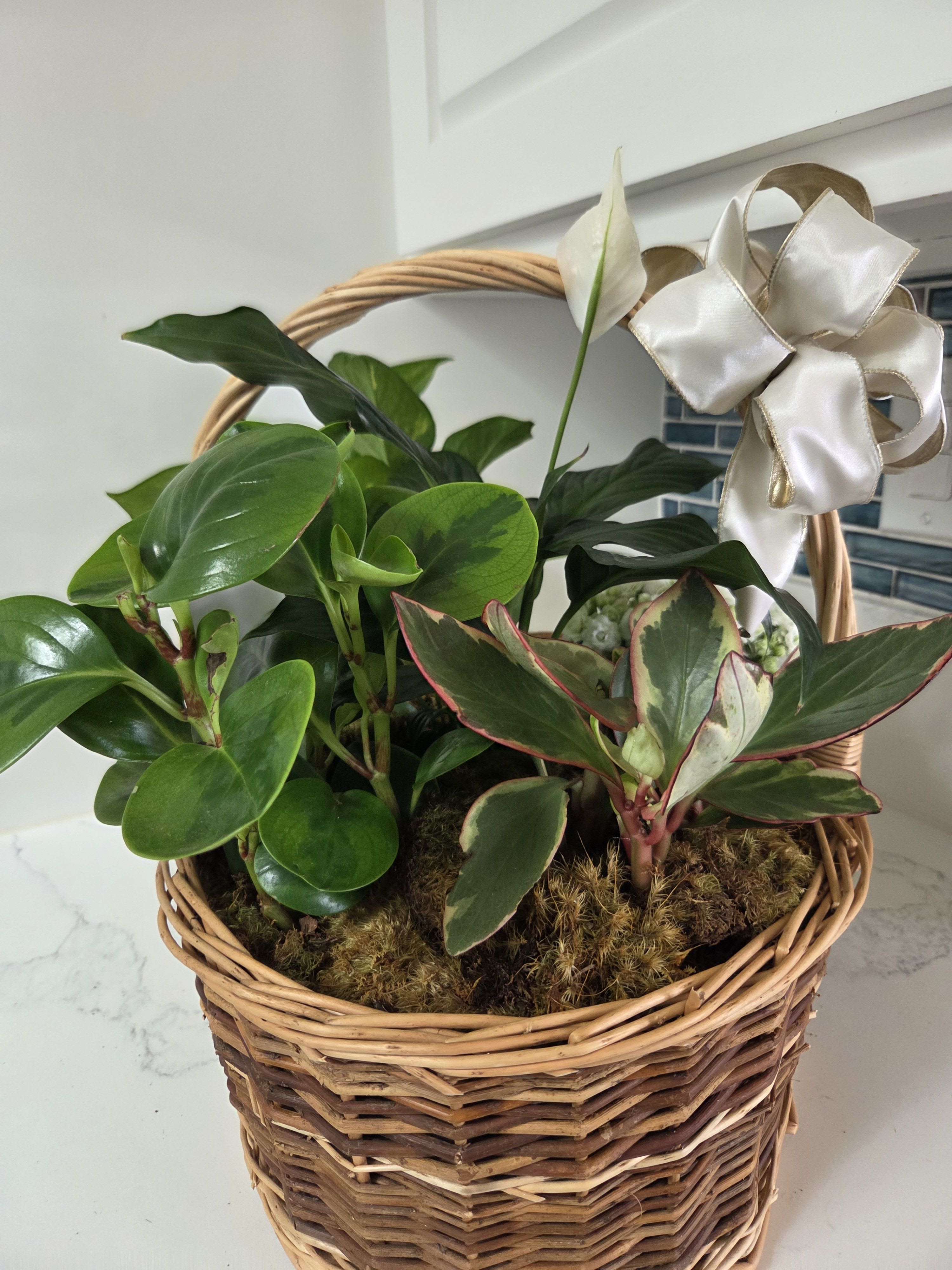Multi Plant Basket