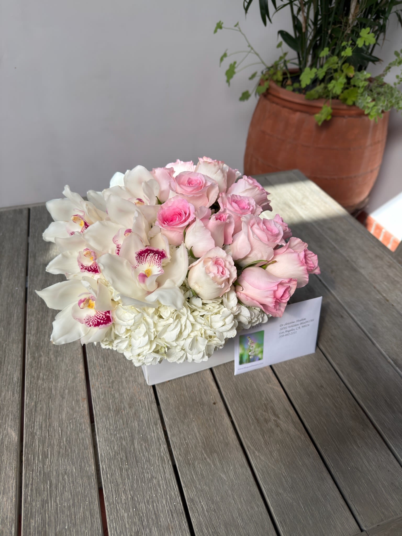 Oh-So Pink Rose Sensation: An Elegance of Blushing Beauty