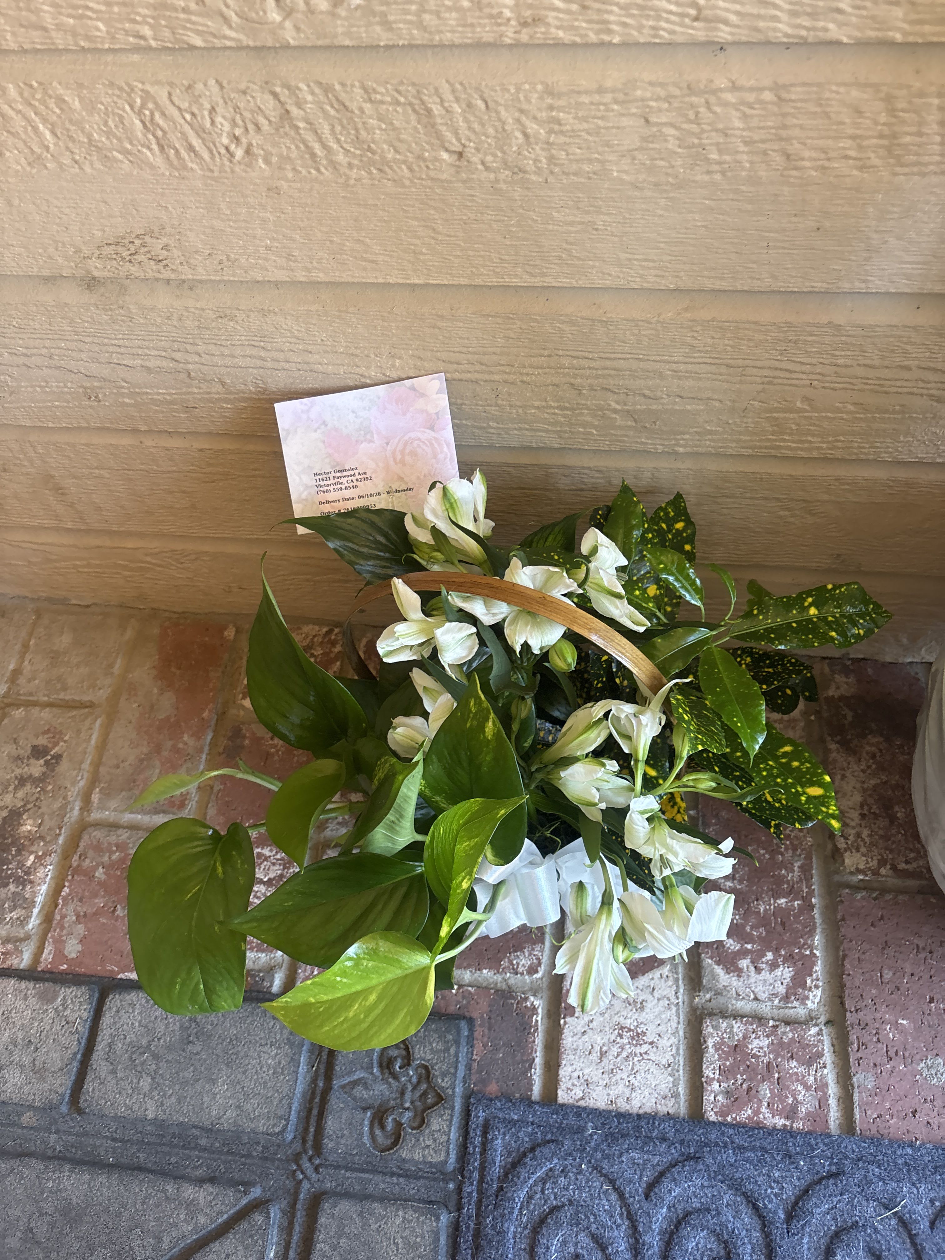 The FTD Peace & Serenity Dishgarden