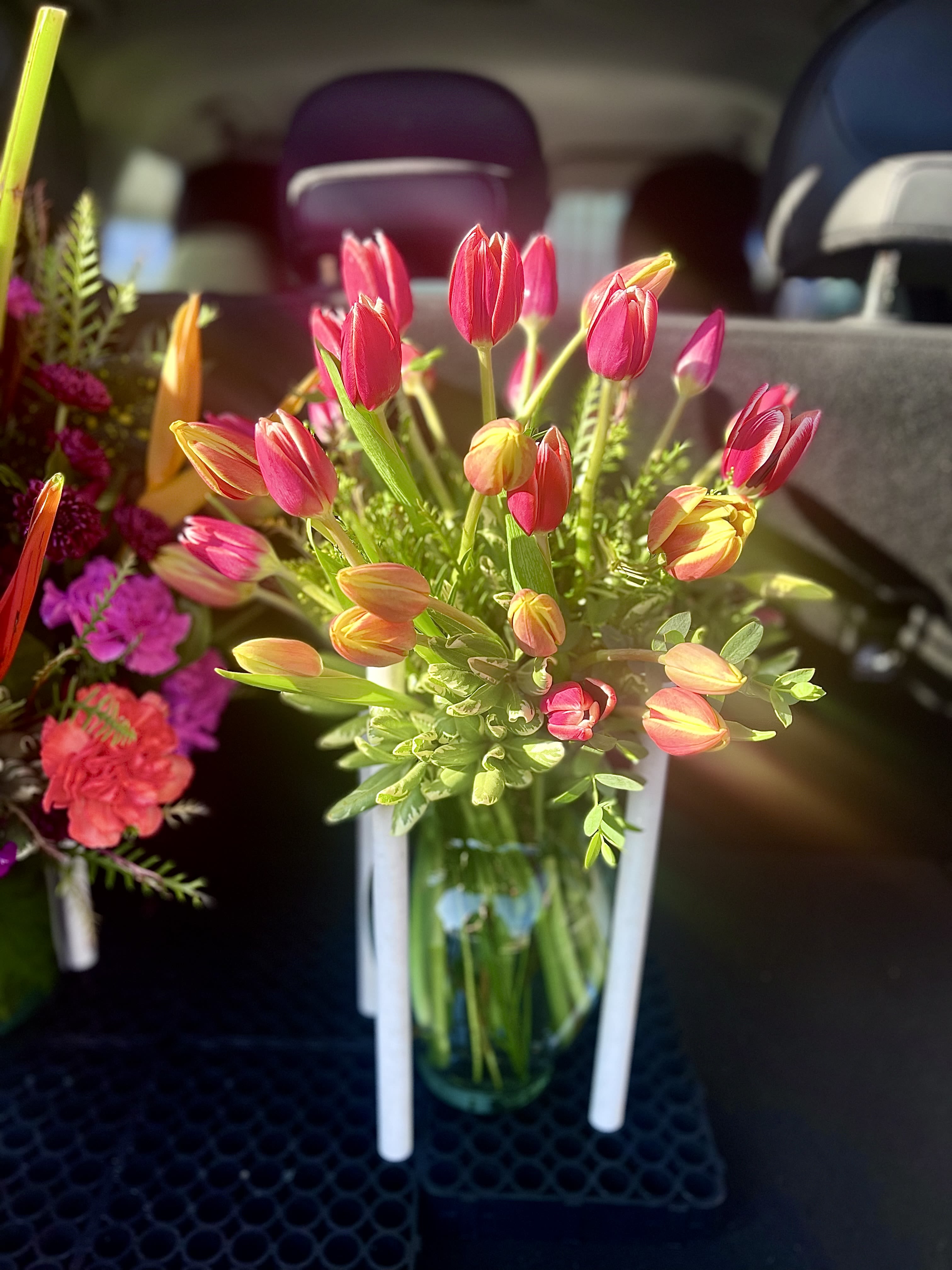 Tulips Special of the Week!