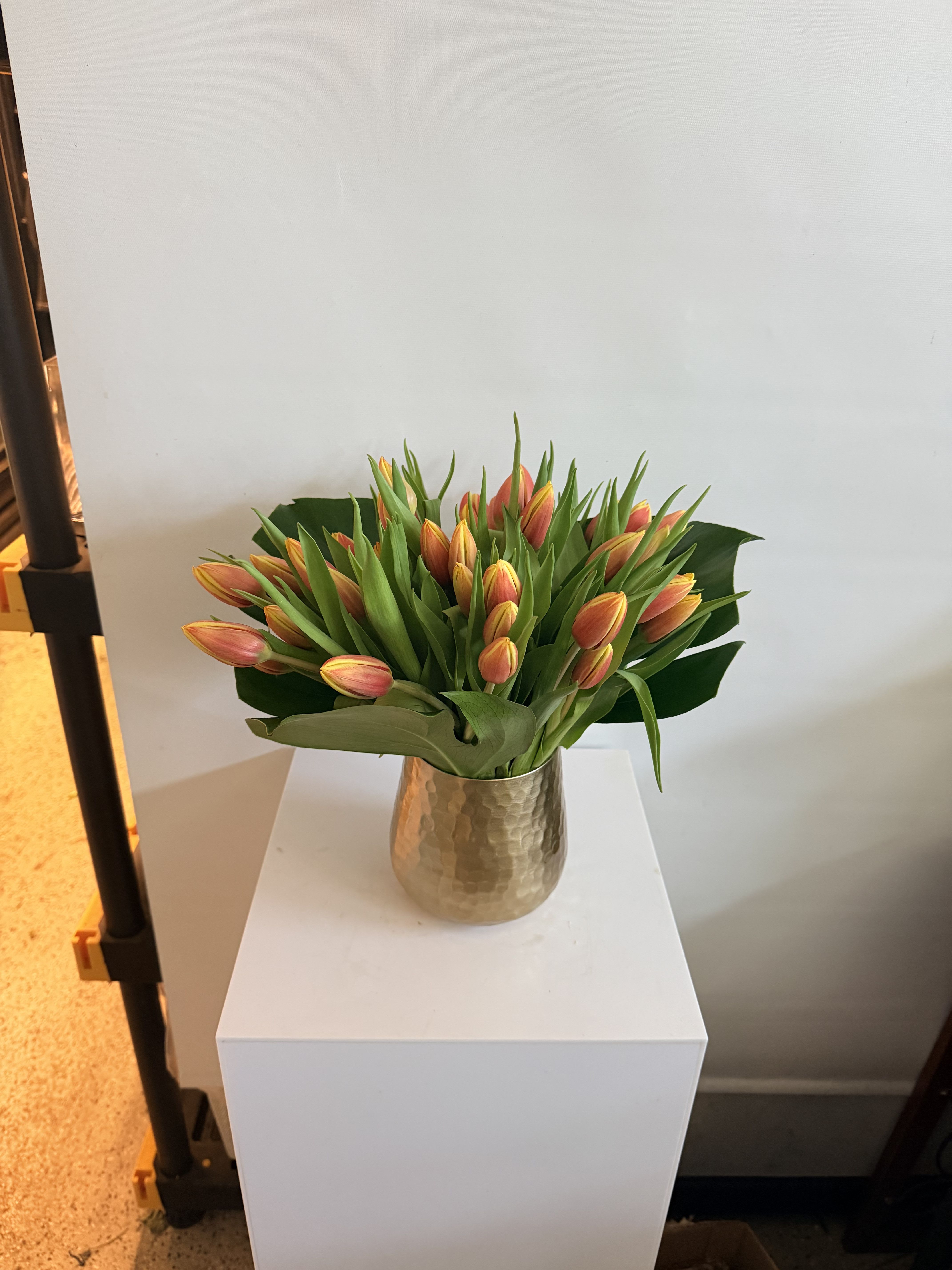 Tulip garden