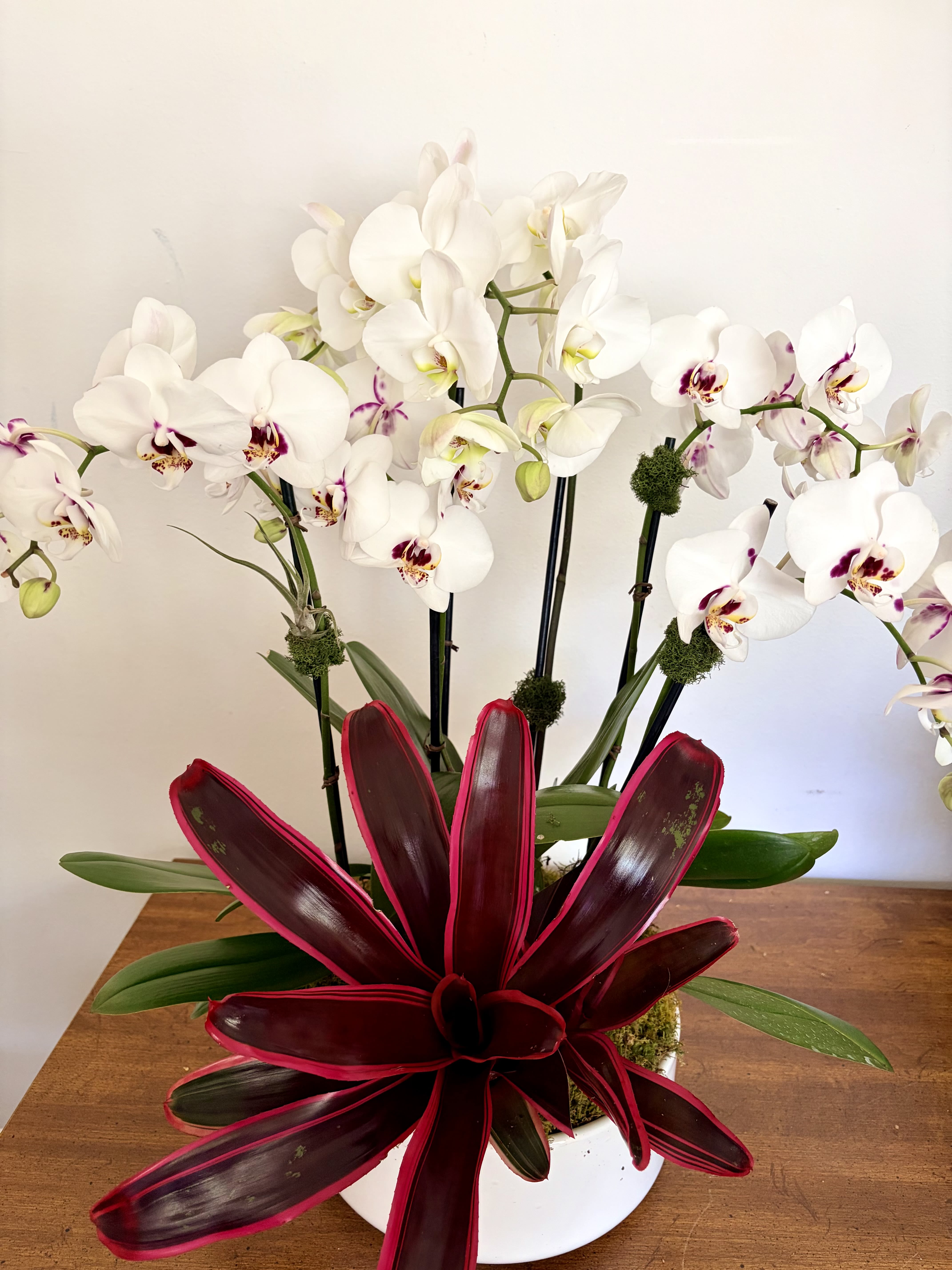 Orchid Planter. 