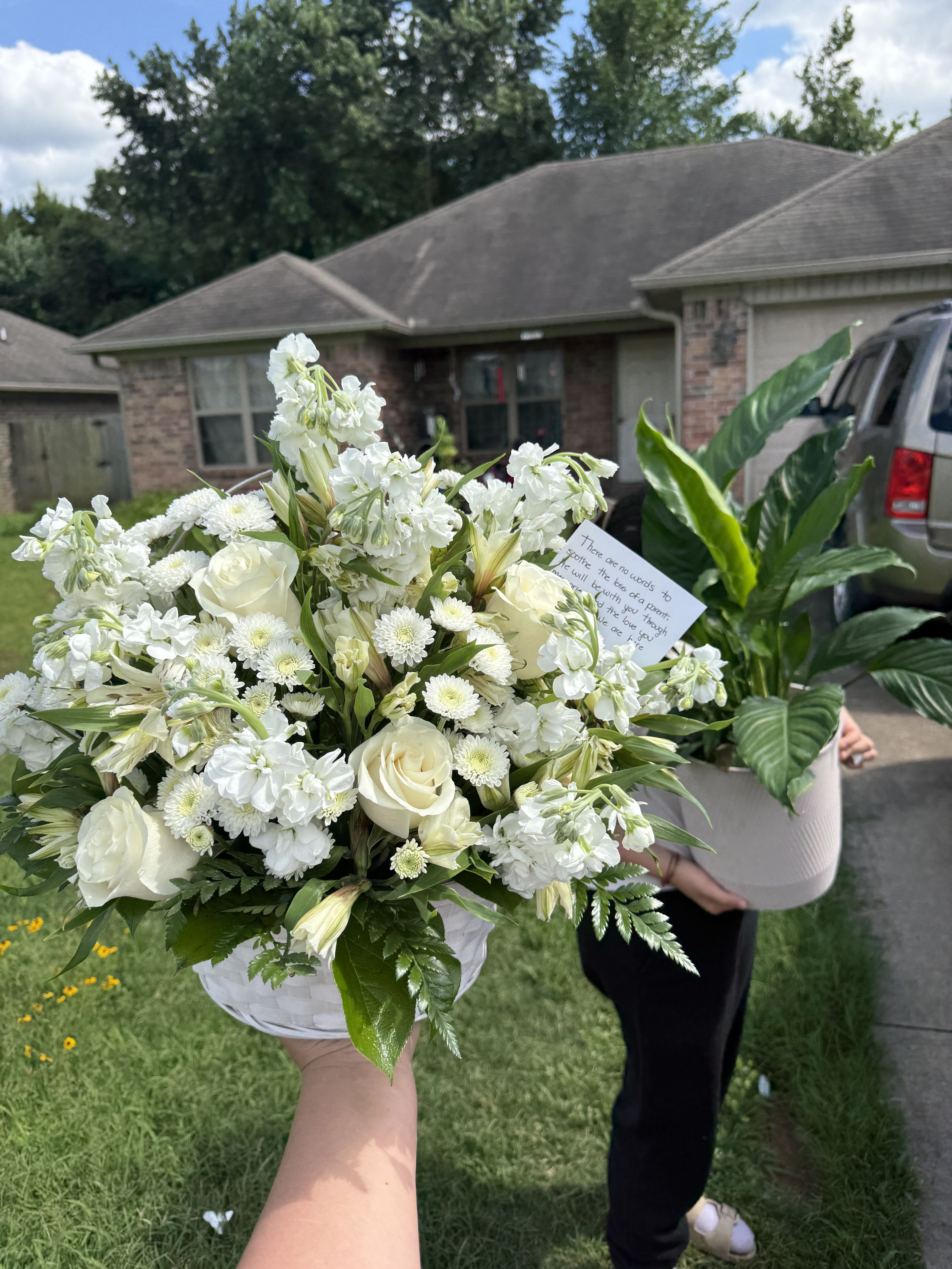 Spathiphyllum plant in a Basket