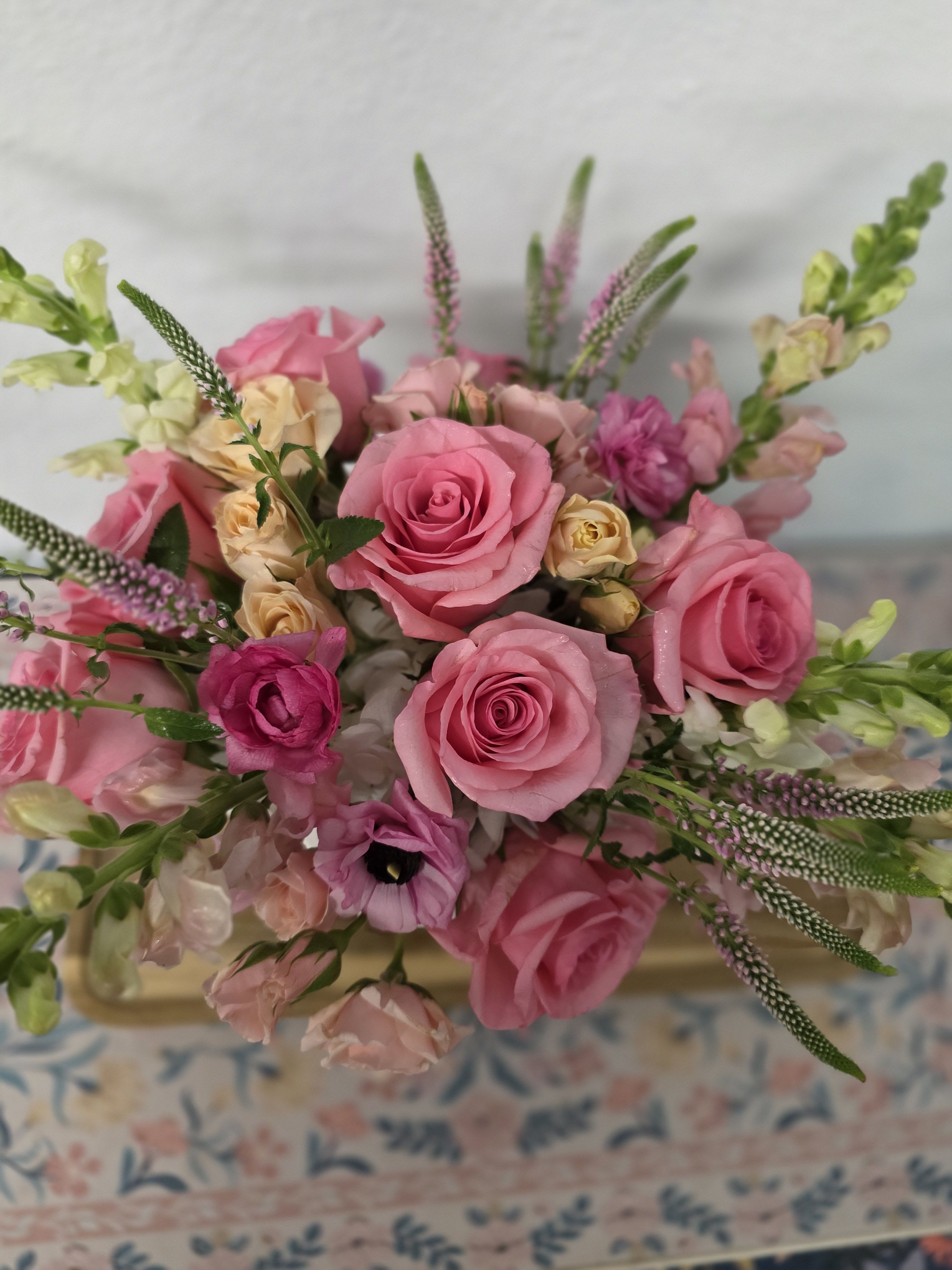 Blush and Bashful