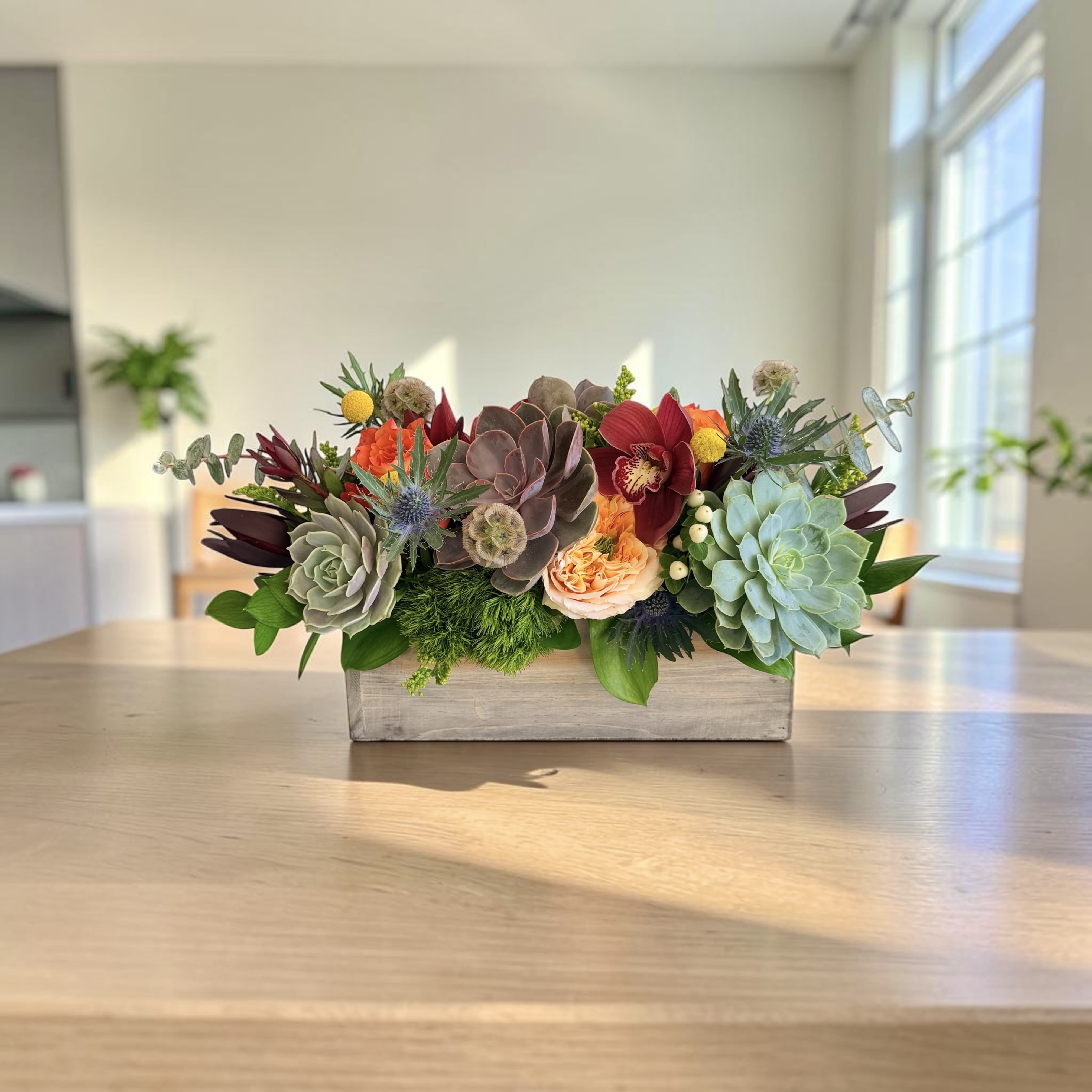 Colorful succulents 