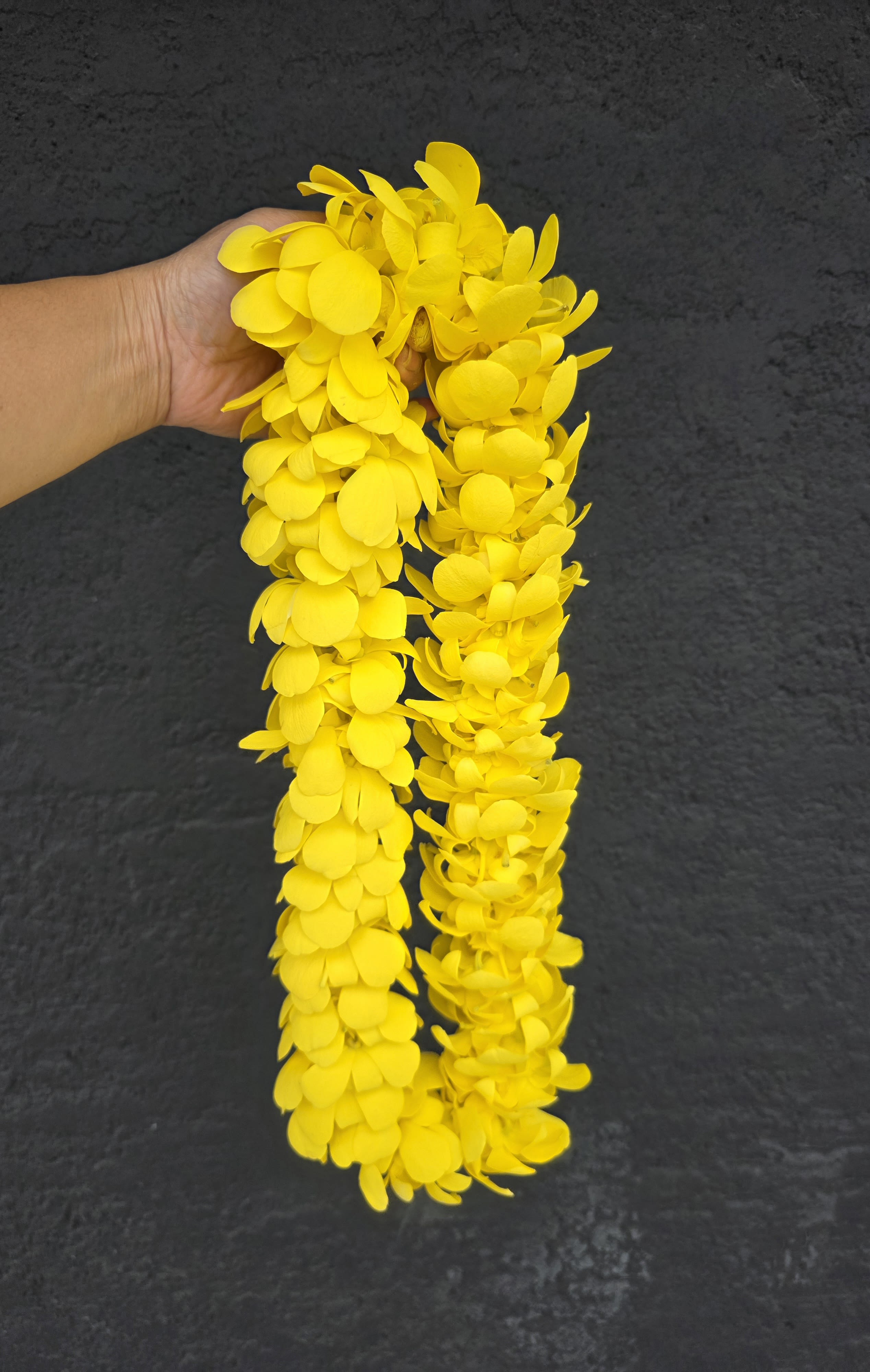 Double Orchid Lei - Yellow Graduation Lei