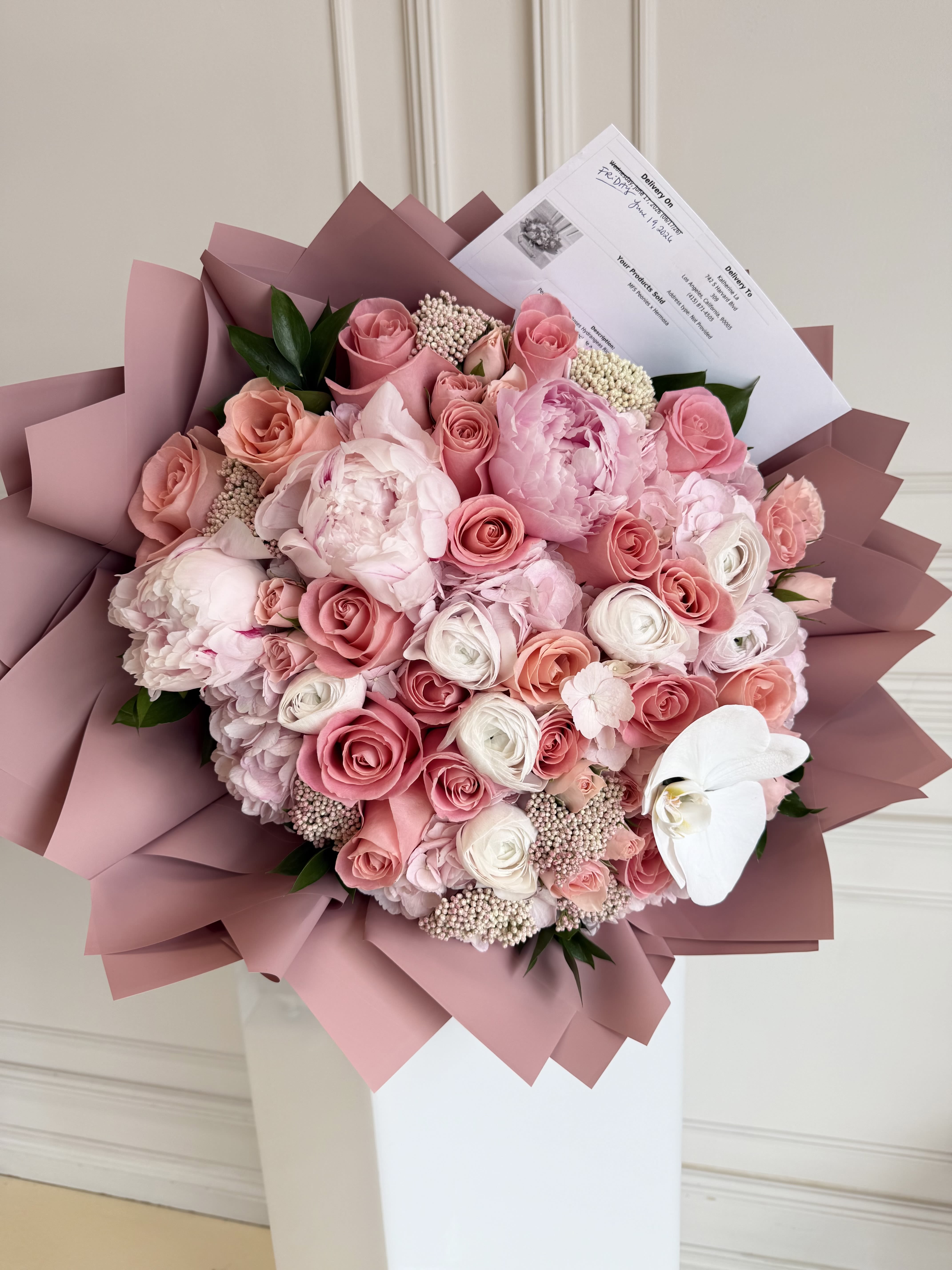 MFS Peonies x Hermosa