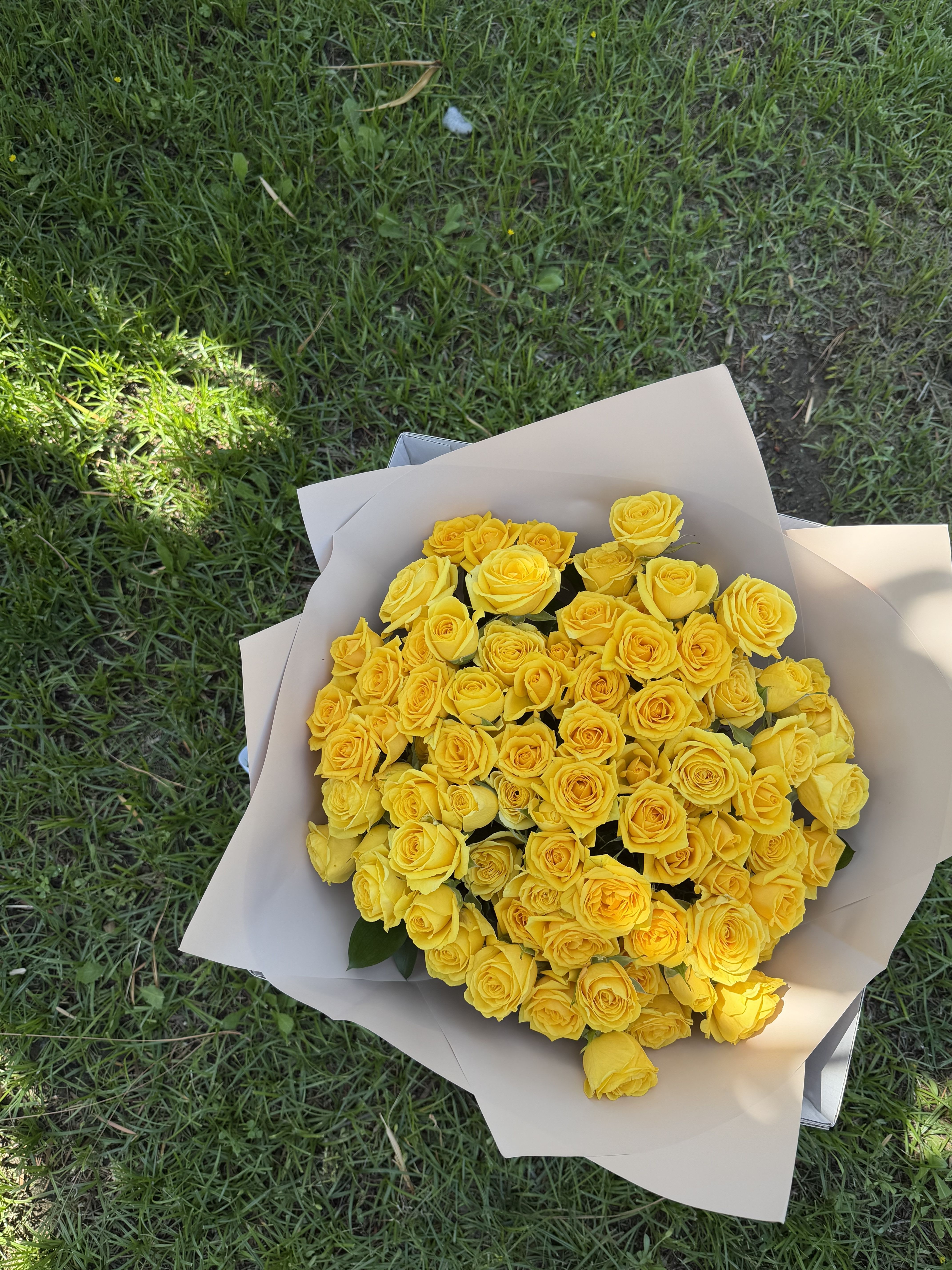 Yellow spray roses