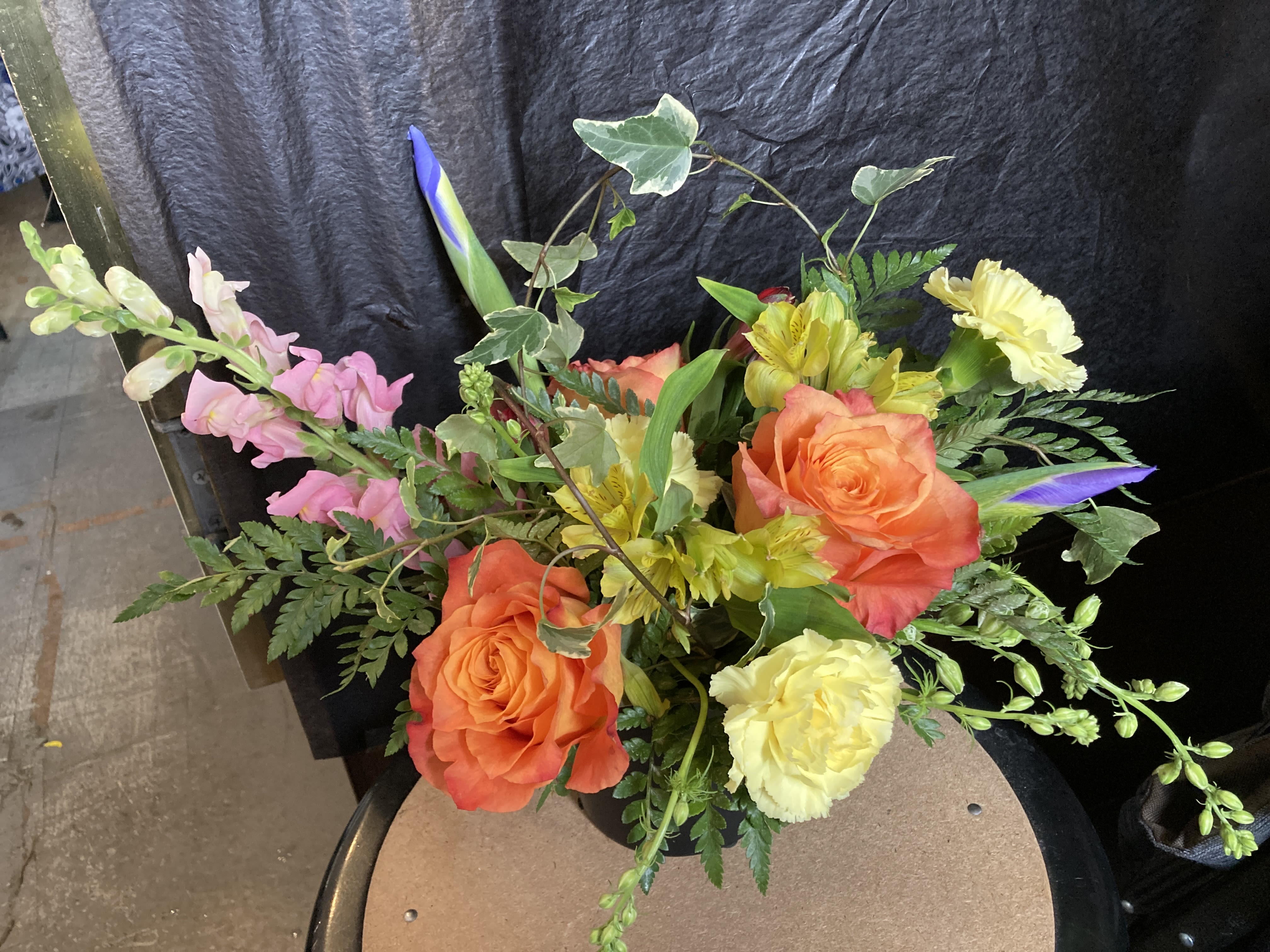 Designer's Choice - Bright & Colorful