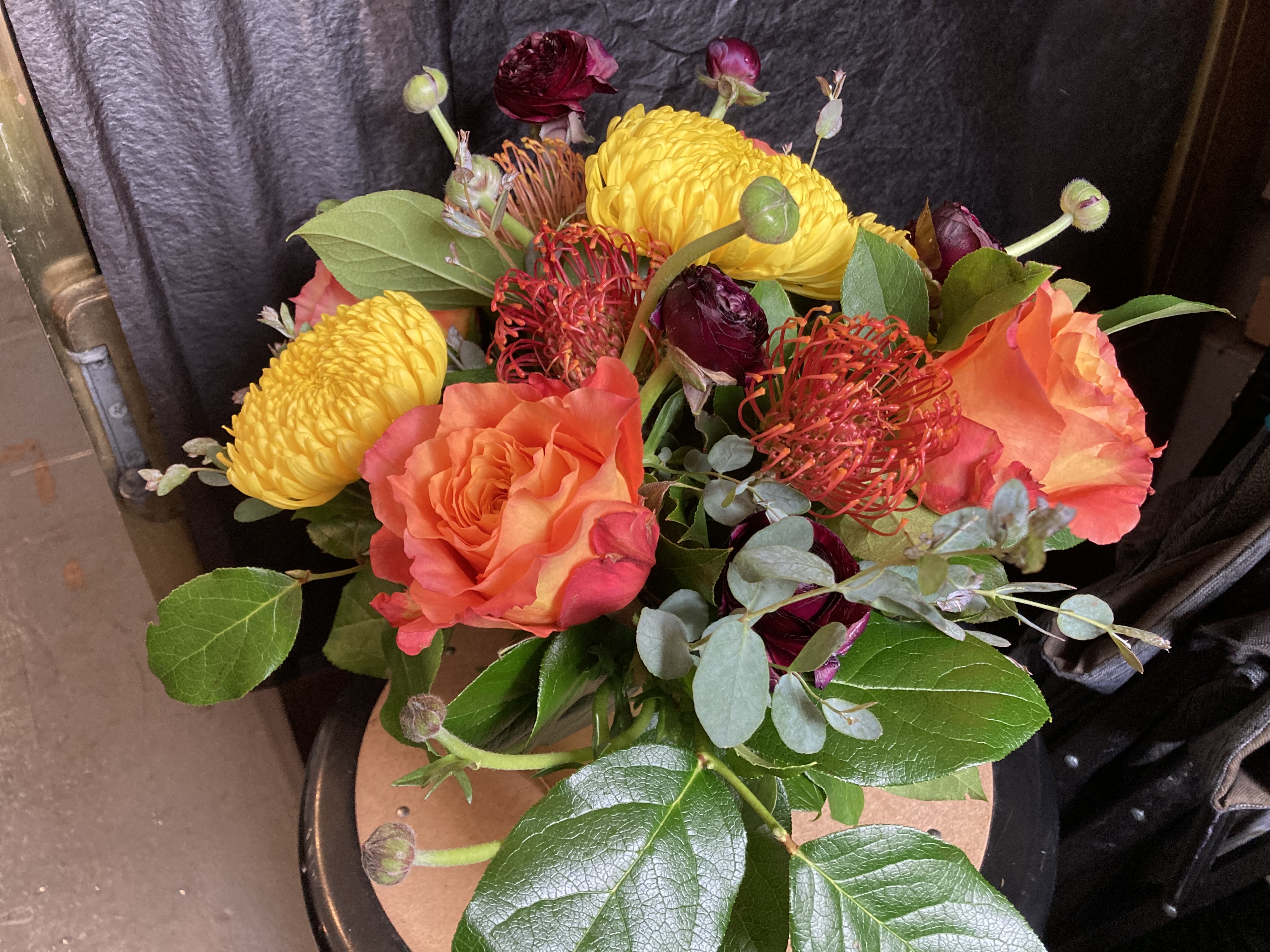 Designer's Choice - Bright & Colorful