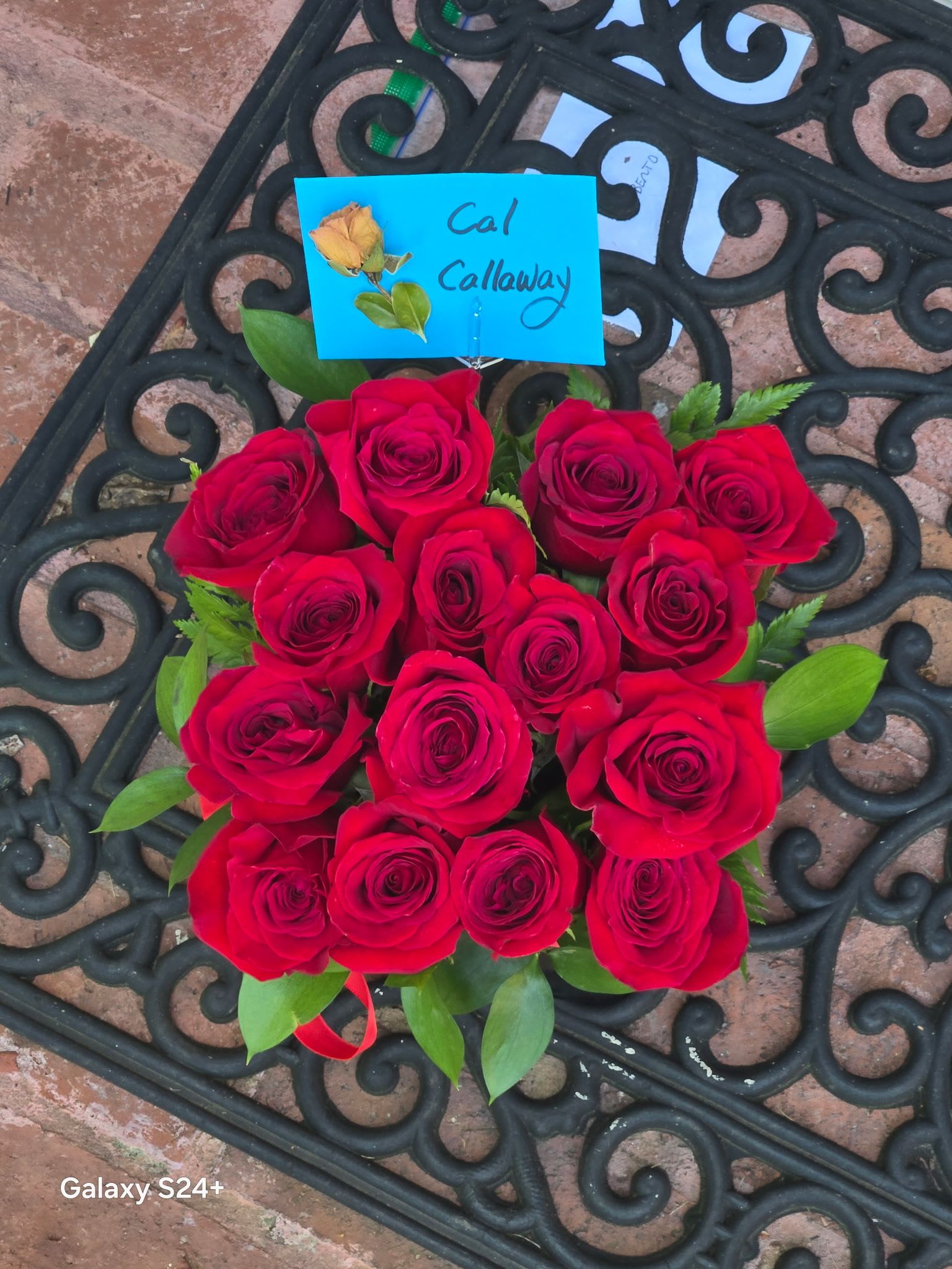 Red Rose Cube 