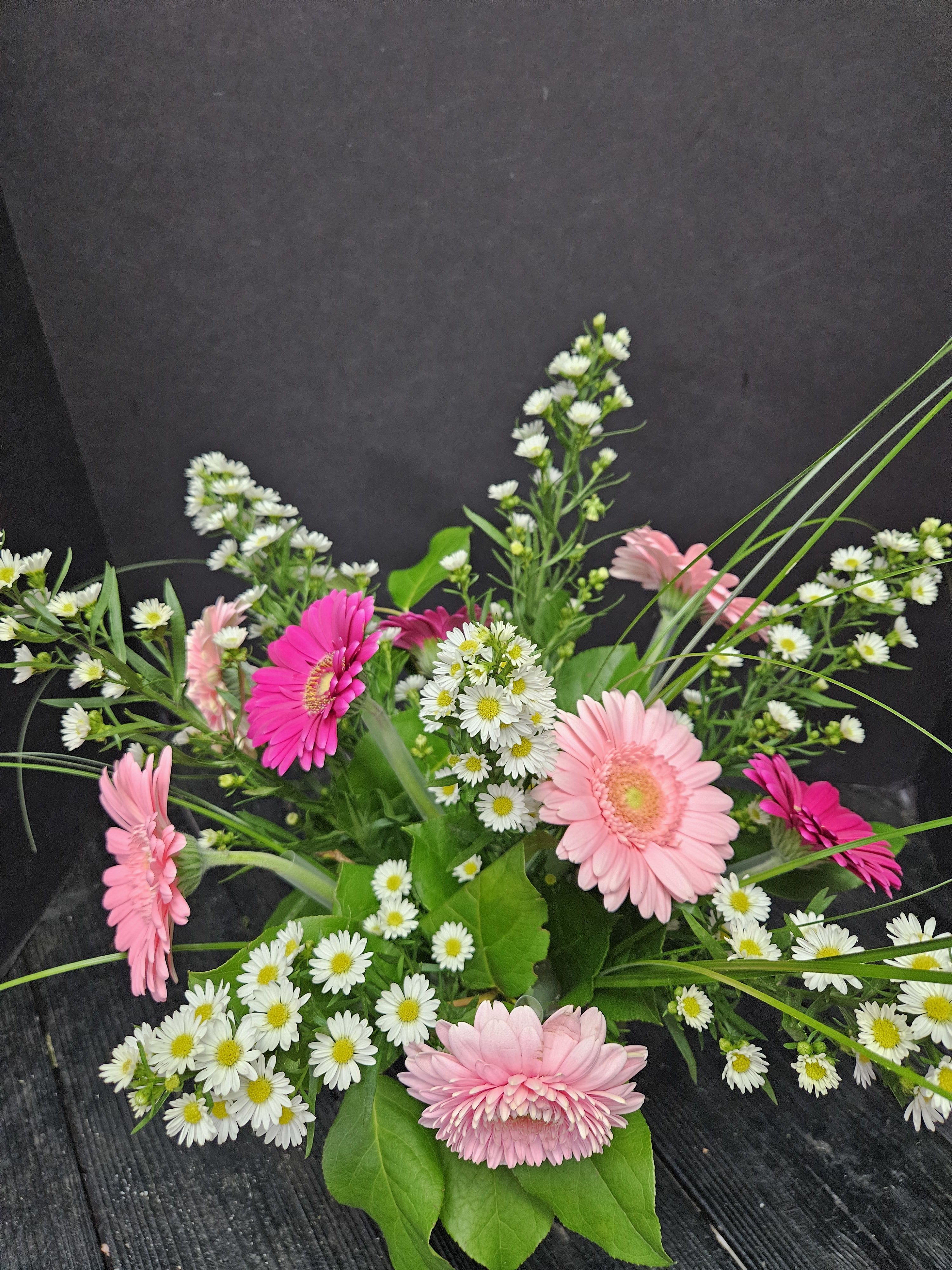 Summer Gerbera
