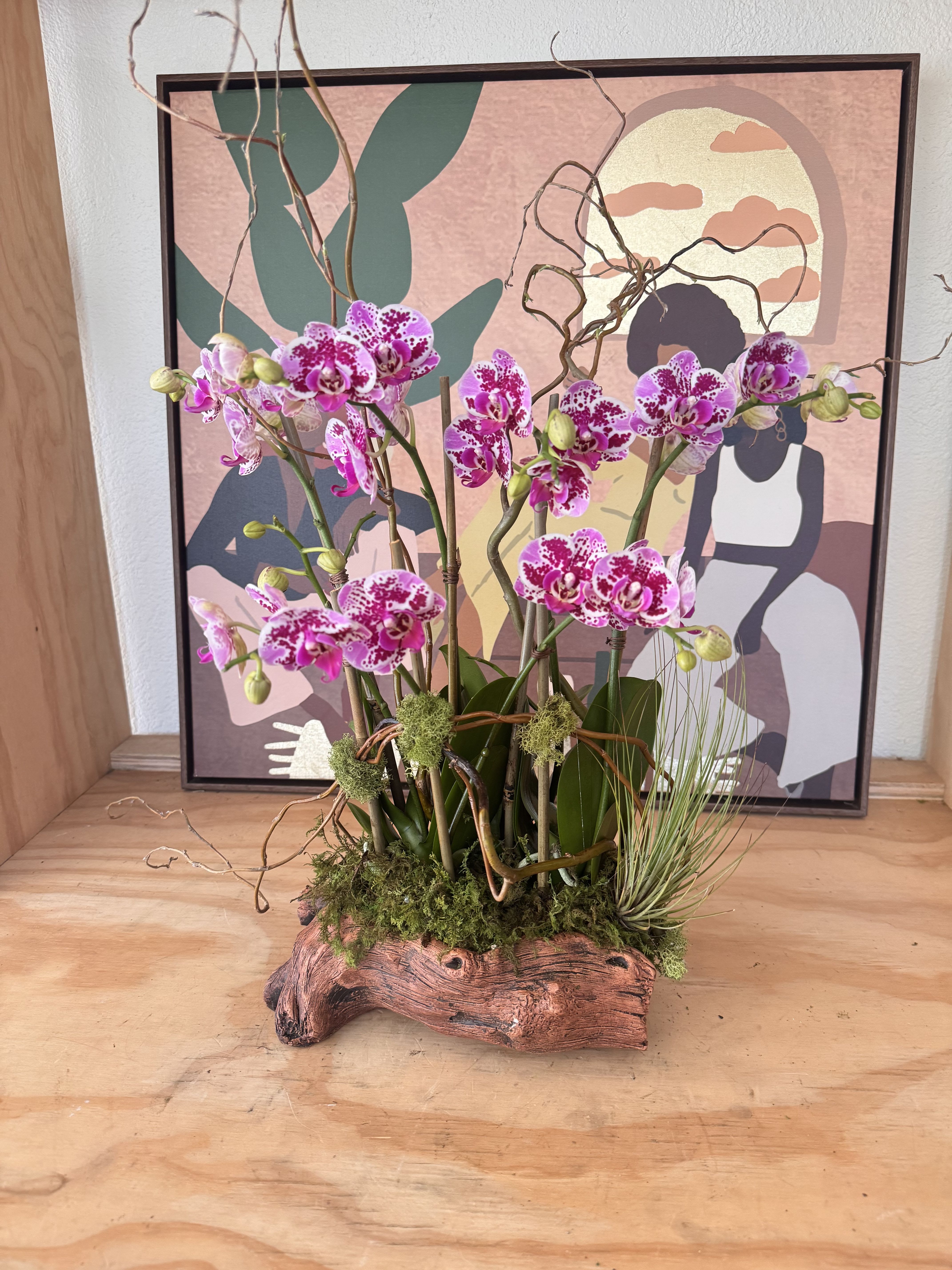 Flor’s Orchids