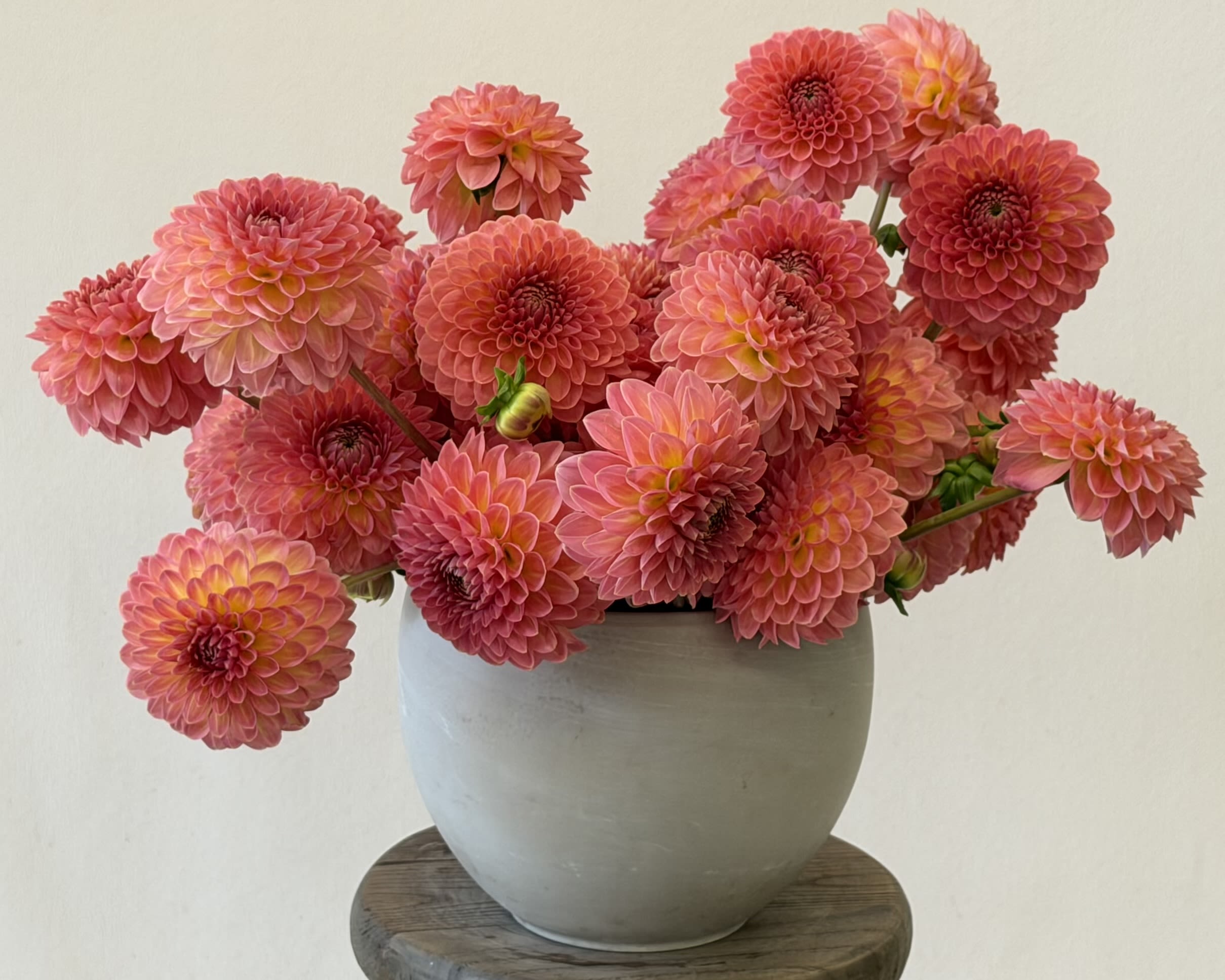 The Calling all Dahlia Lovers arrangement!