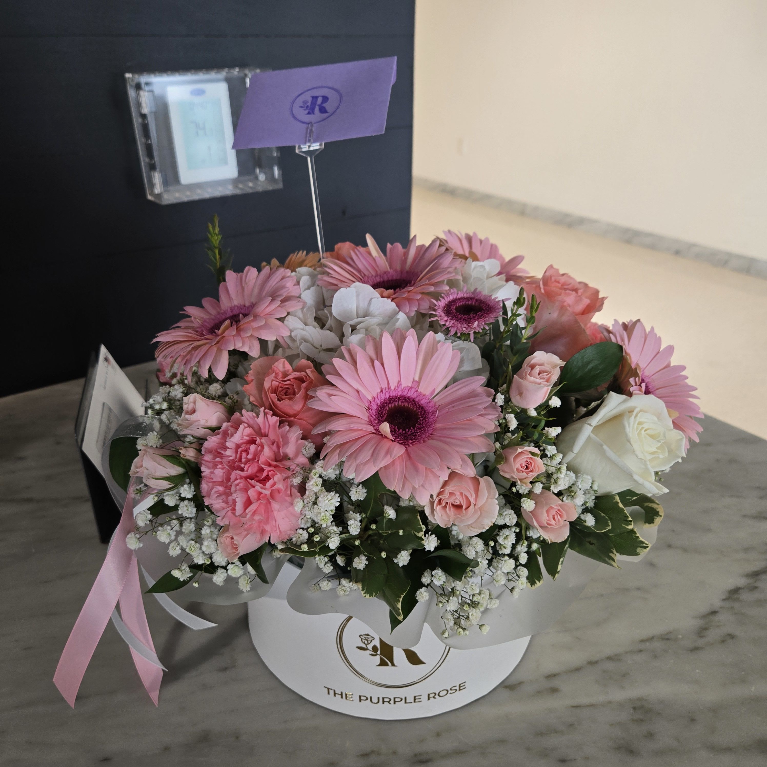 Gerberas