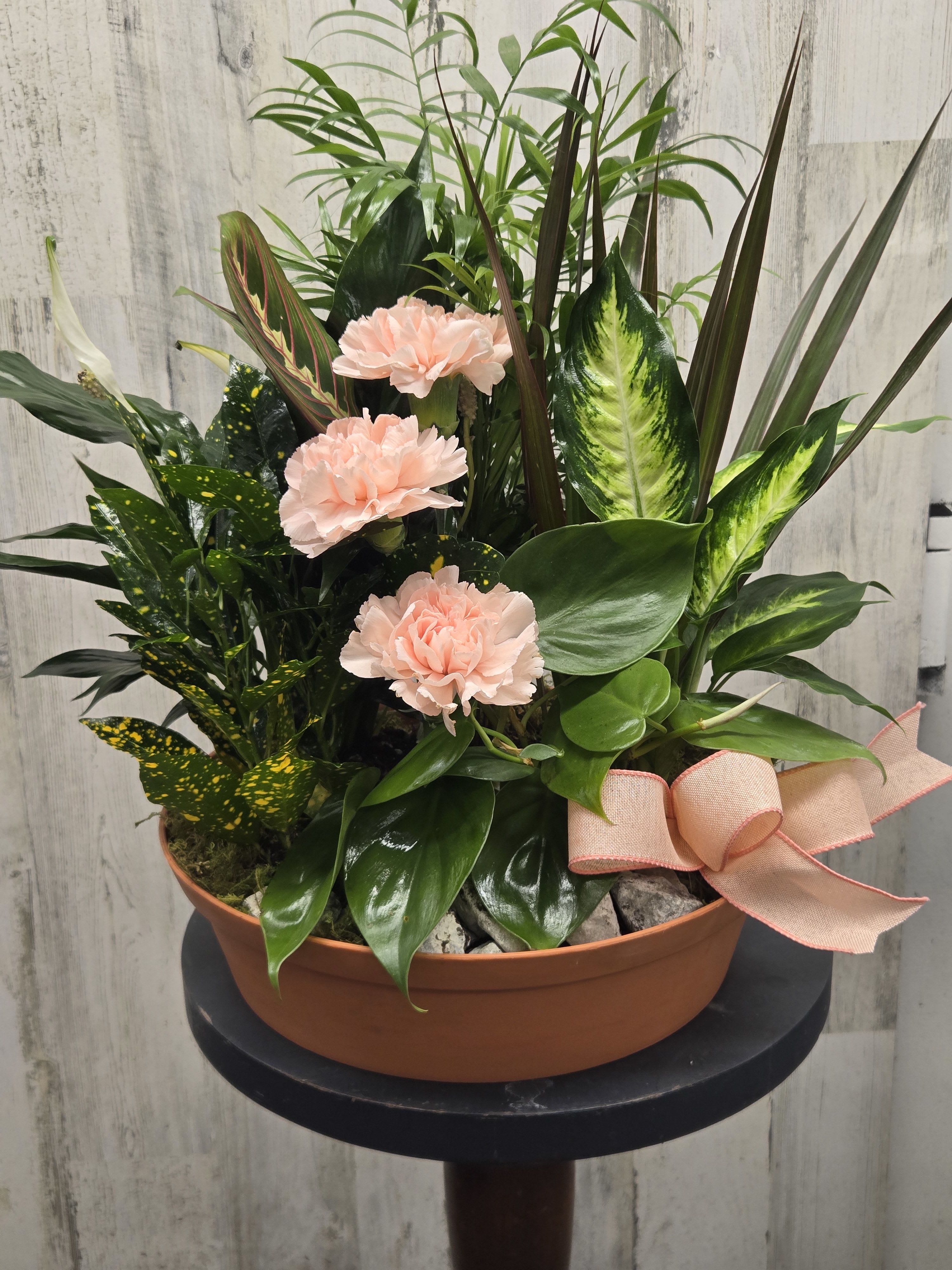 Large Dish Garden 
