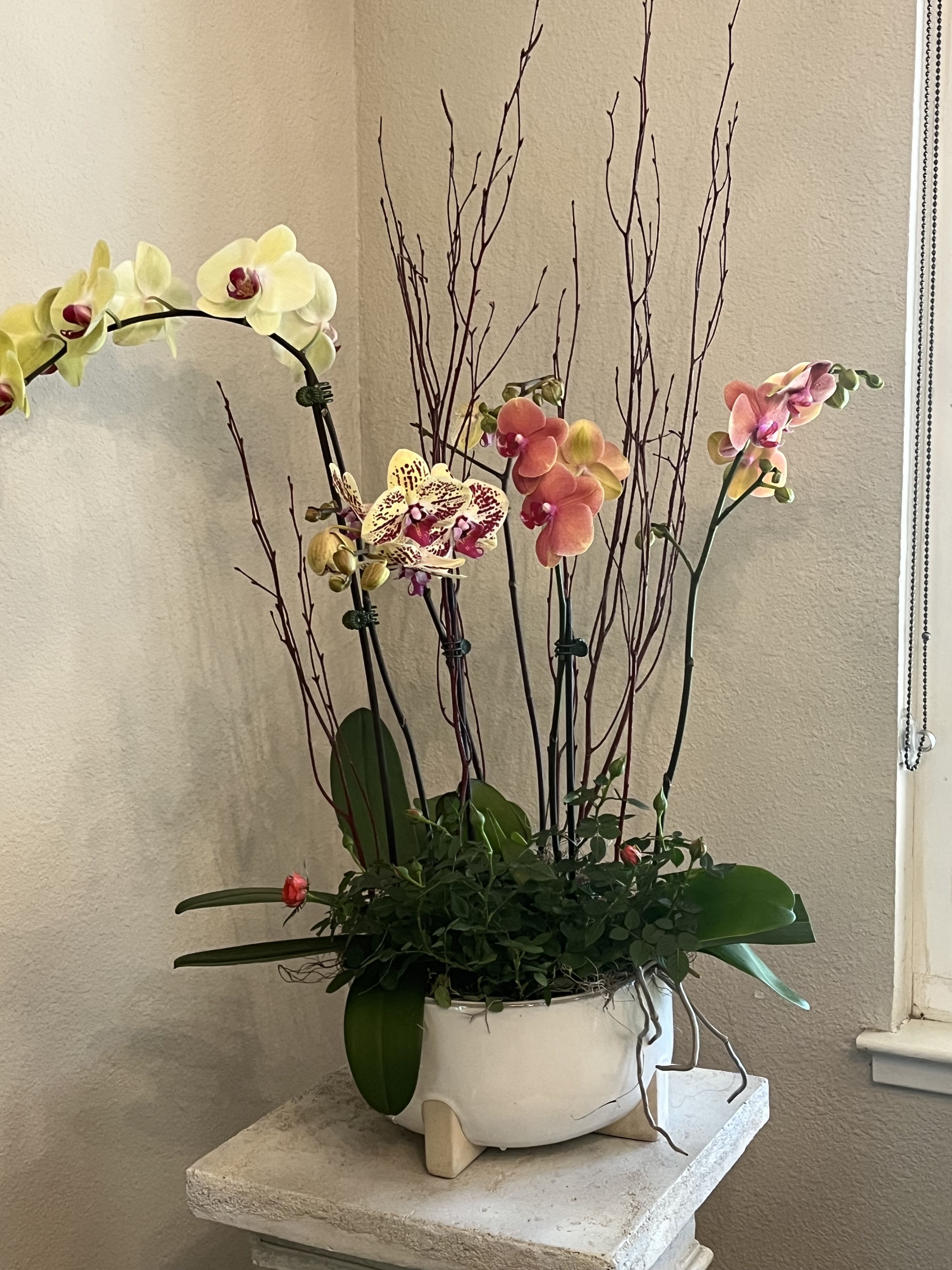 Orchid Planter