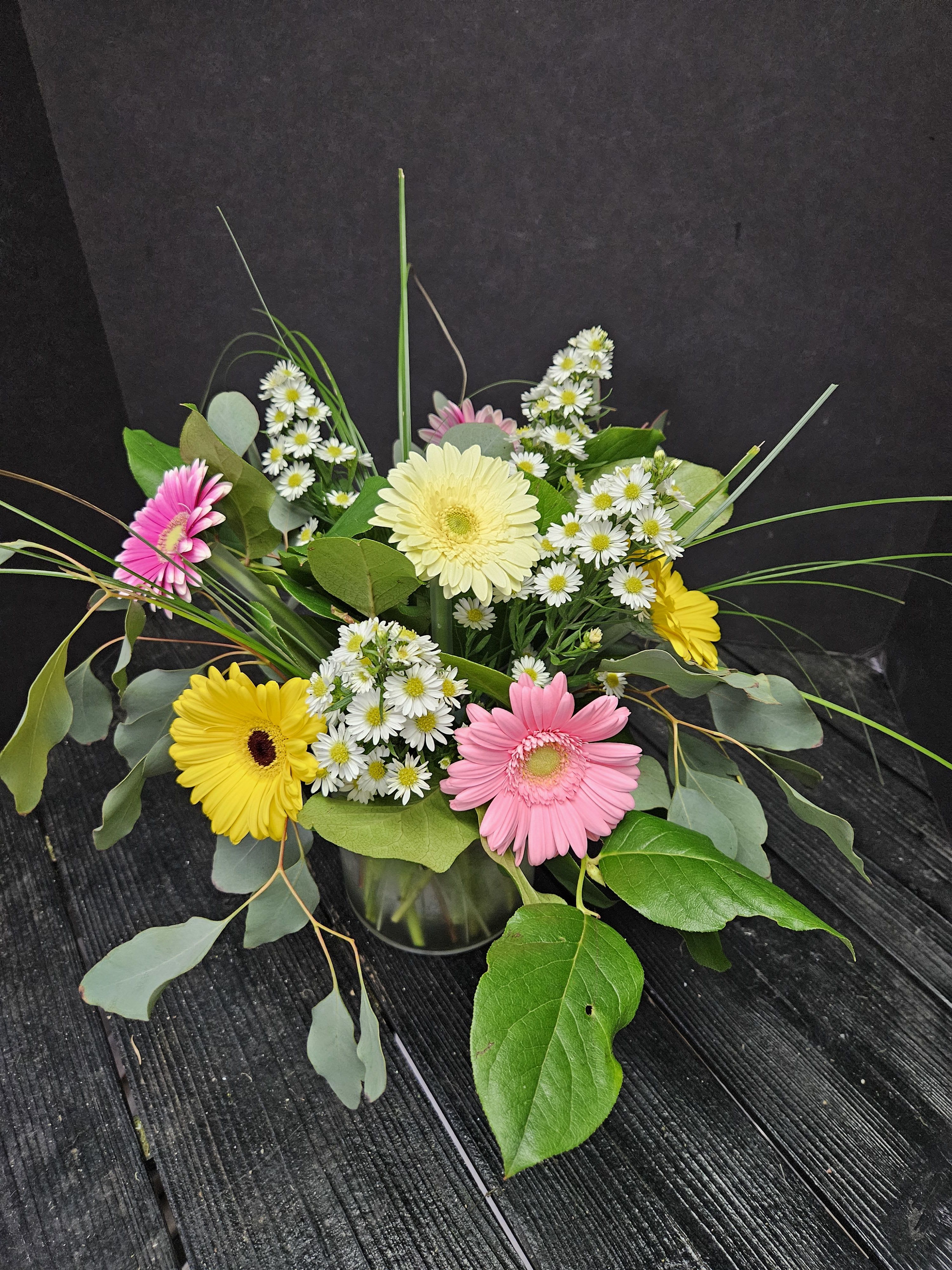 Summer Gerbera