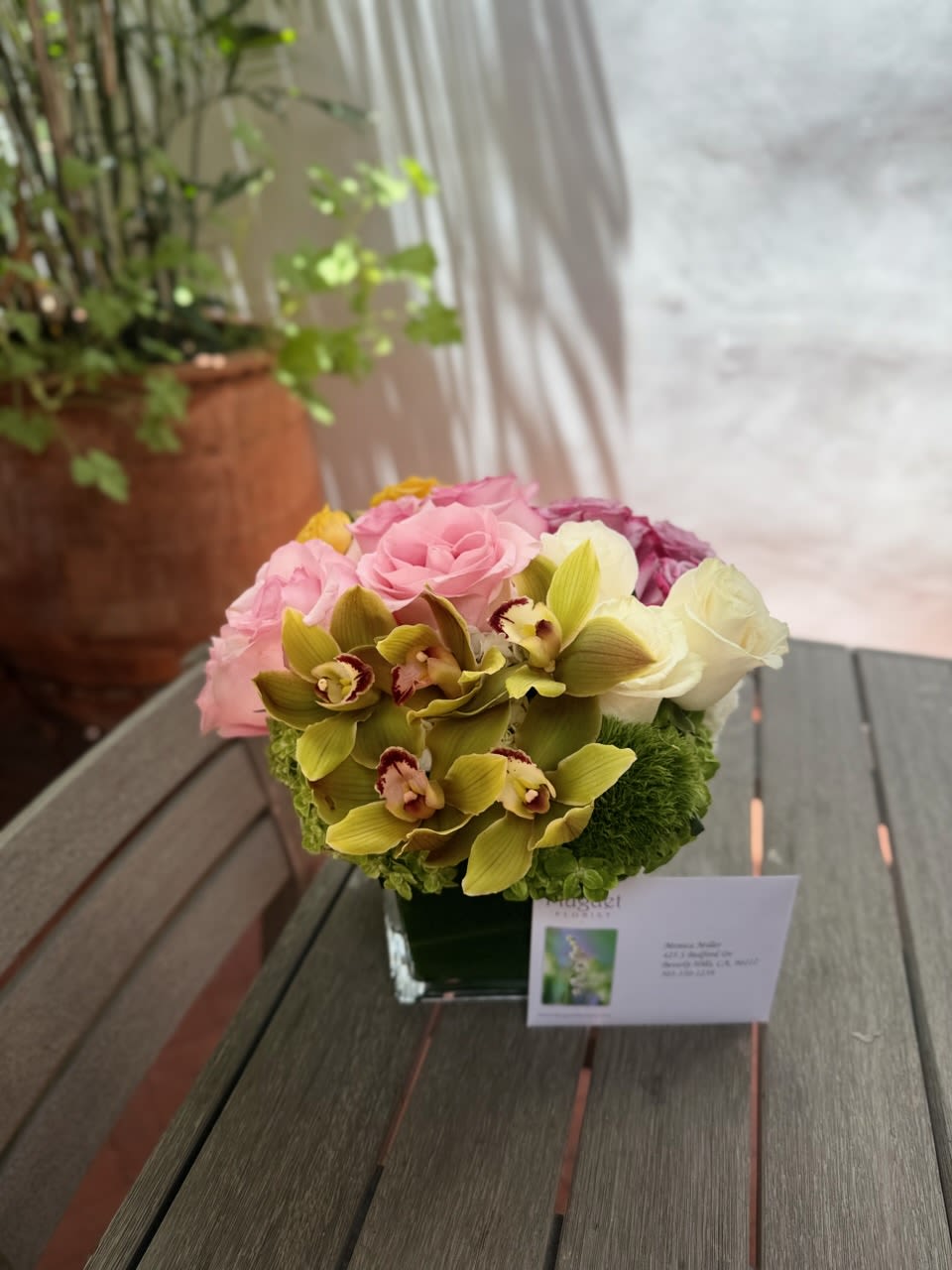 Cymbidium Rose Delight: A Fusion of Elegance and Beauty