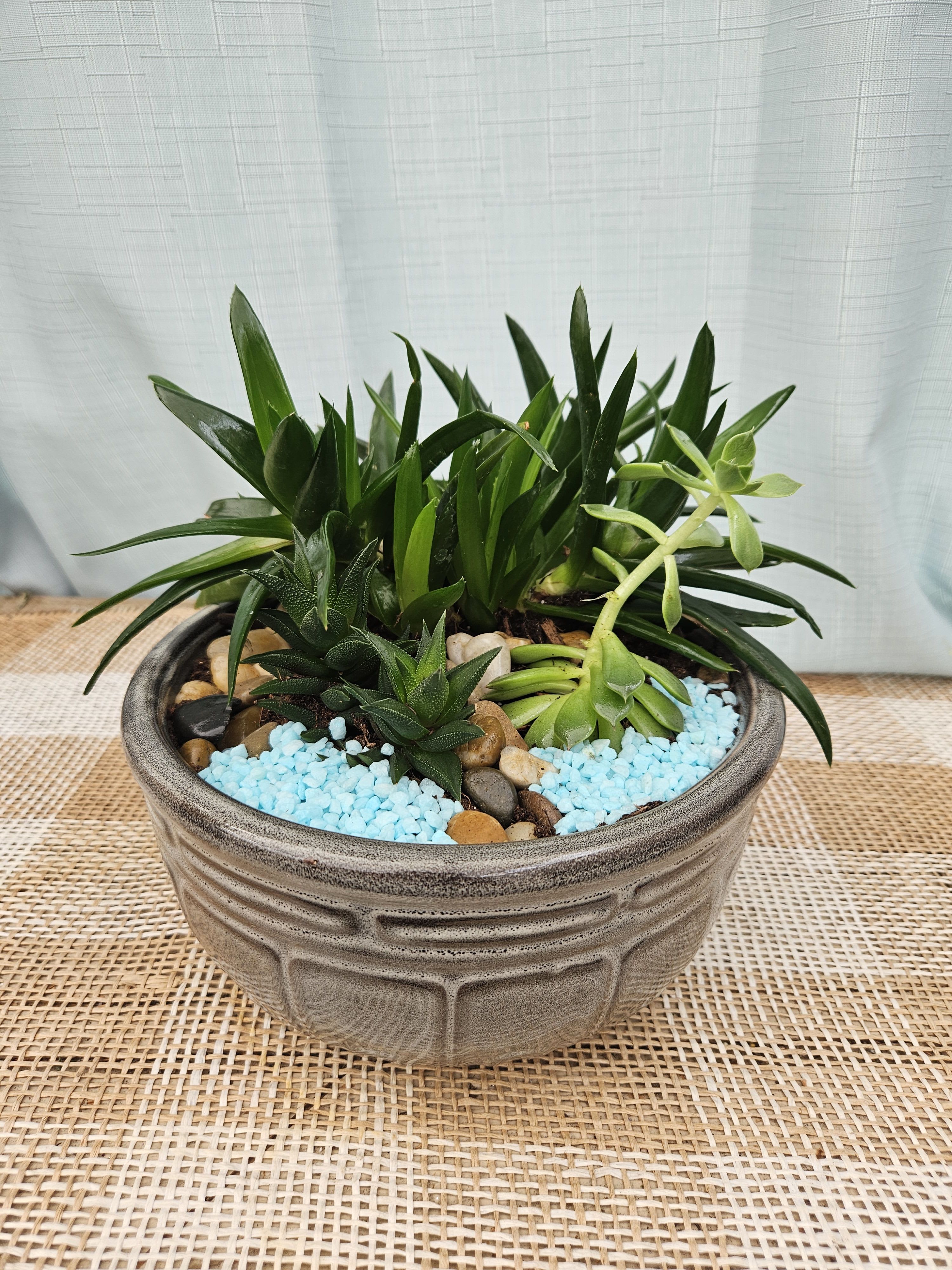 SUCCULENT PLANTER-$35