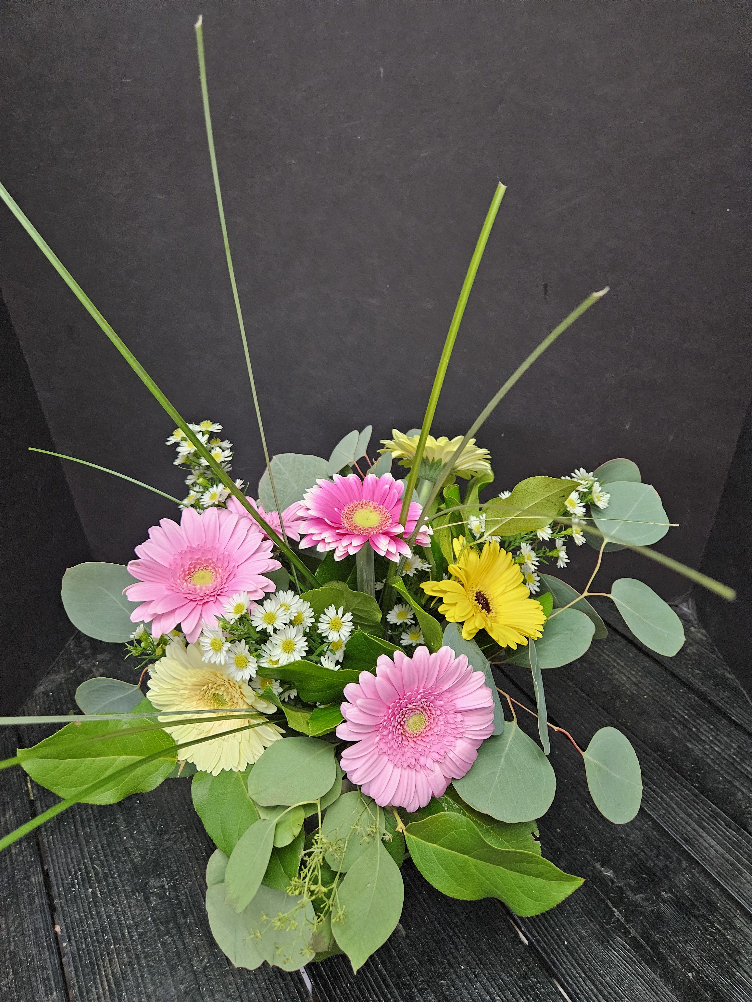 Summer Gerbera