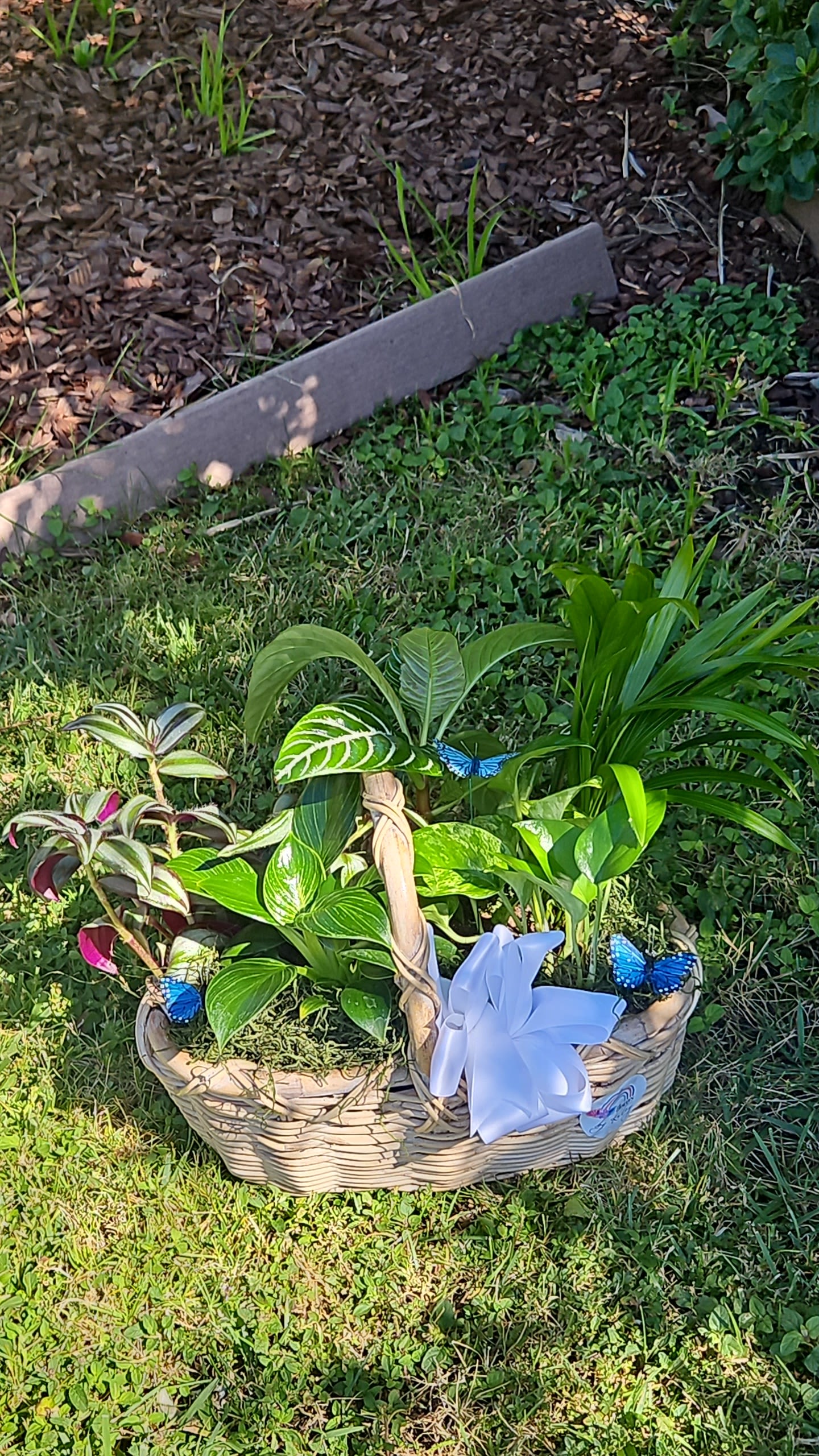 Katey's Secret Garden