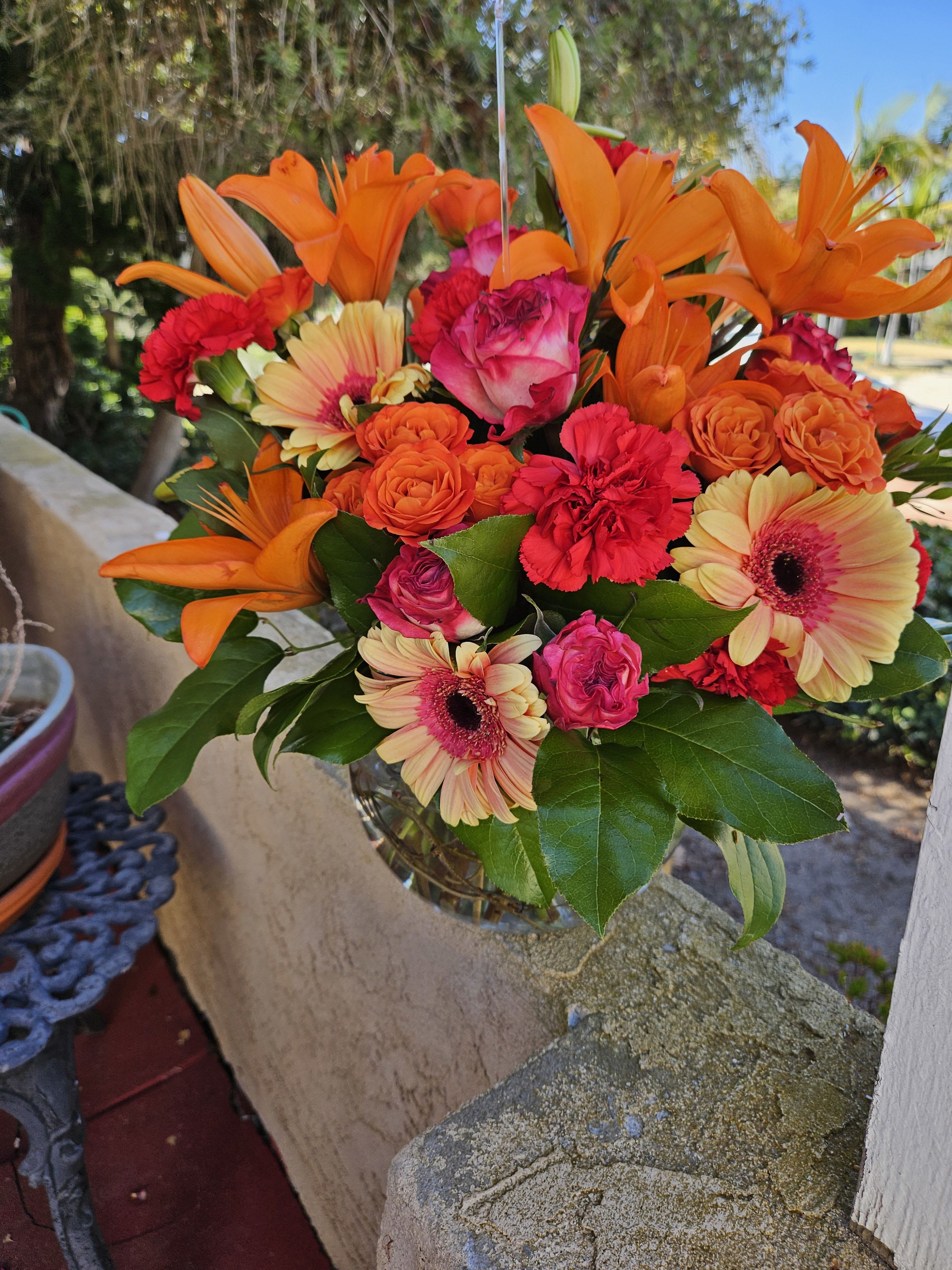 Bowl Of Beauty
